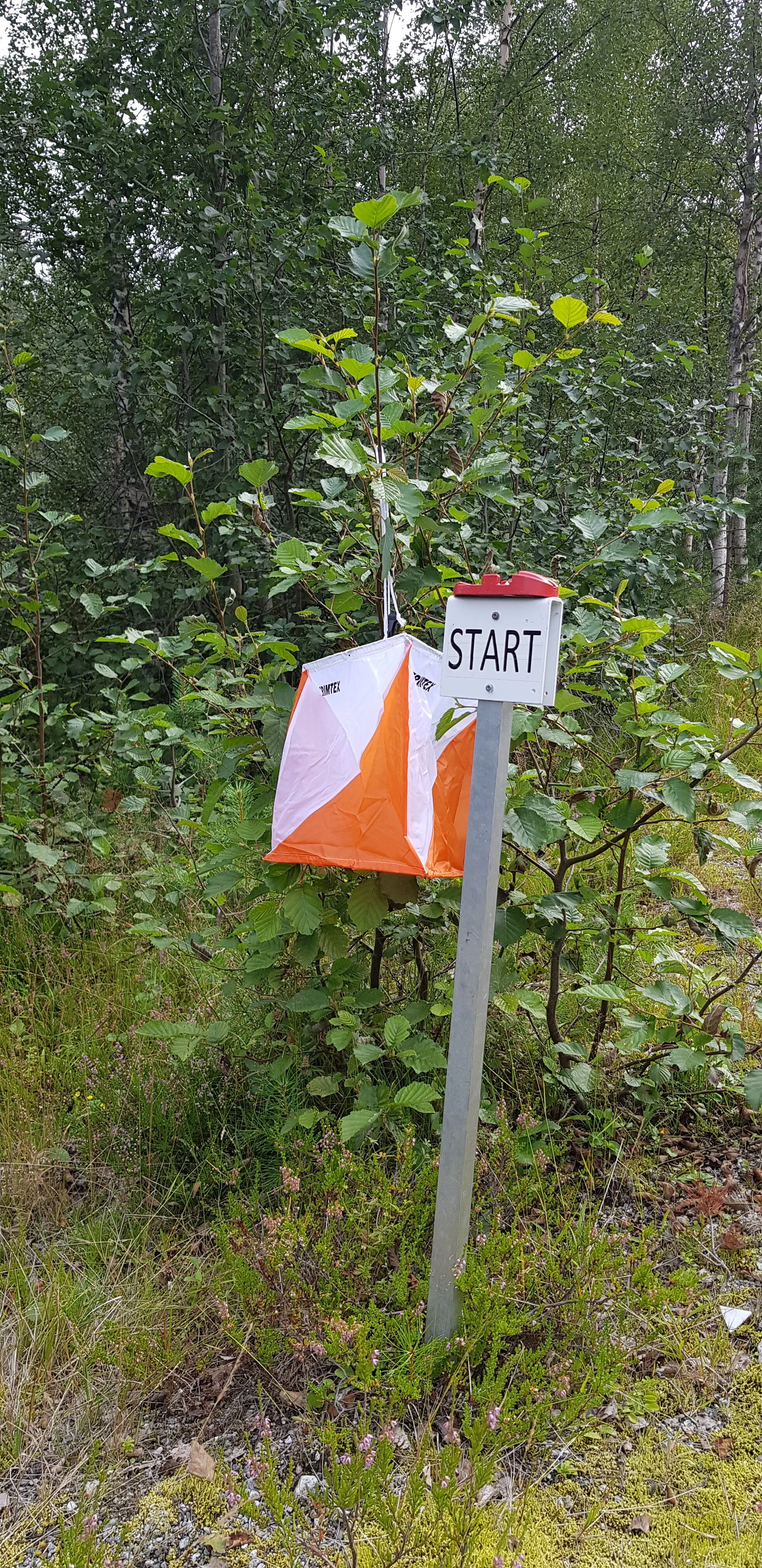 WOD og Treningsløp på Haukåsen