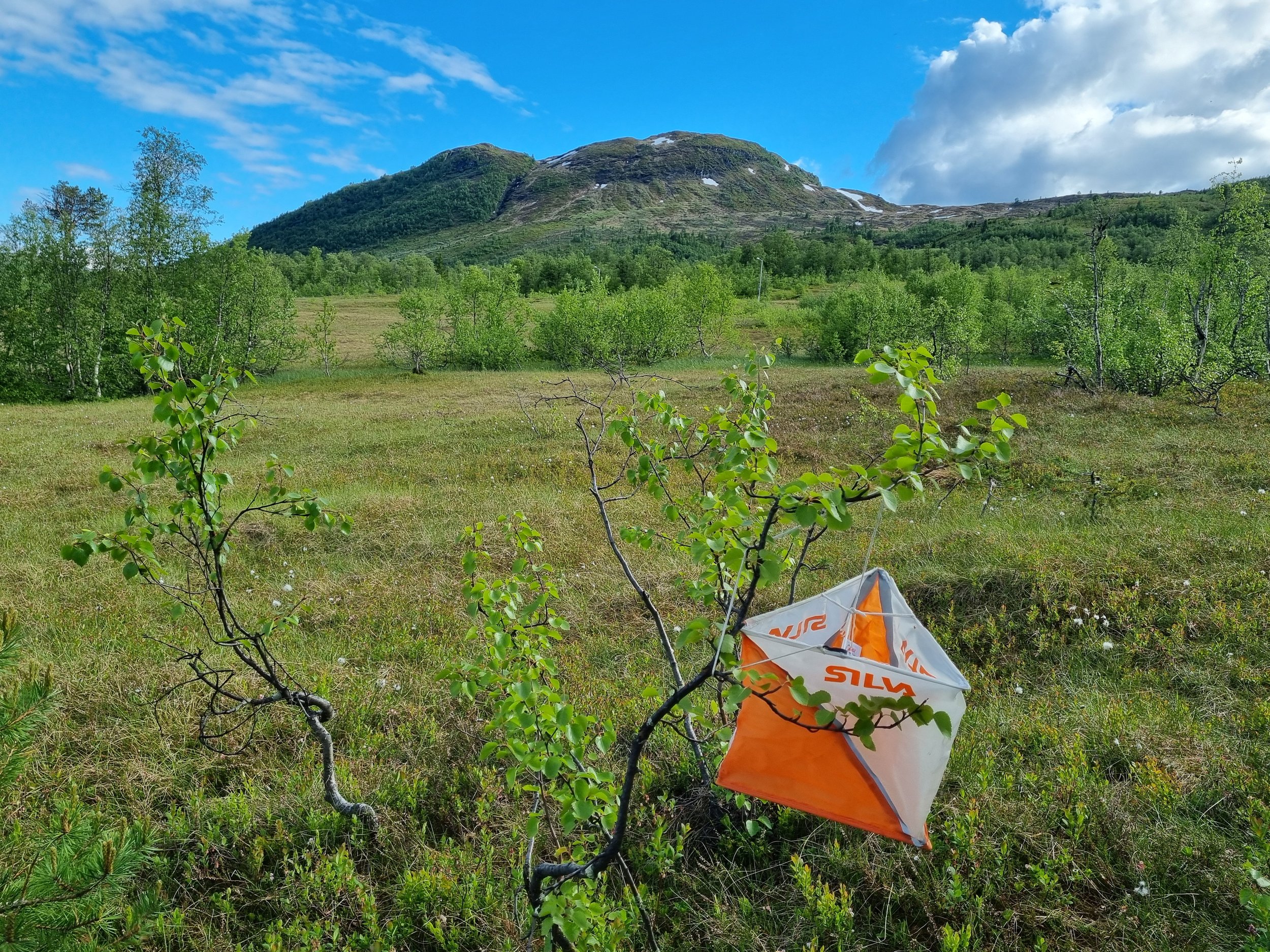 Første treningsløp og KM i Sogndal