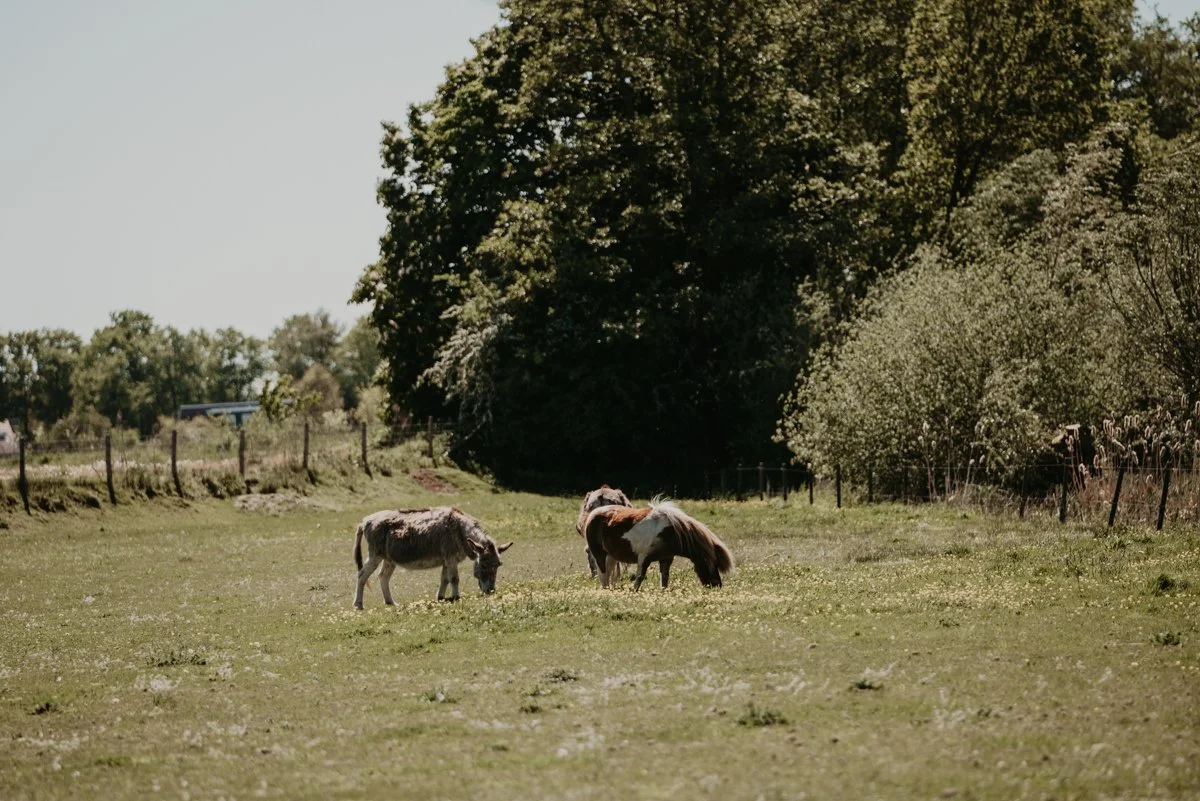 Gasterij-Onder-de-Panne-L-J-DesiFotografie-203.jpg