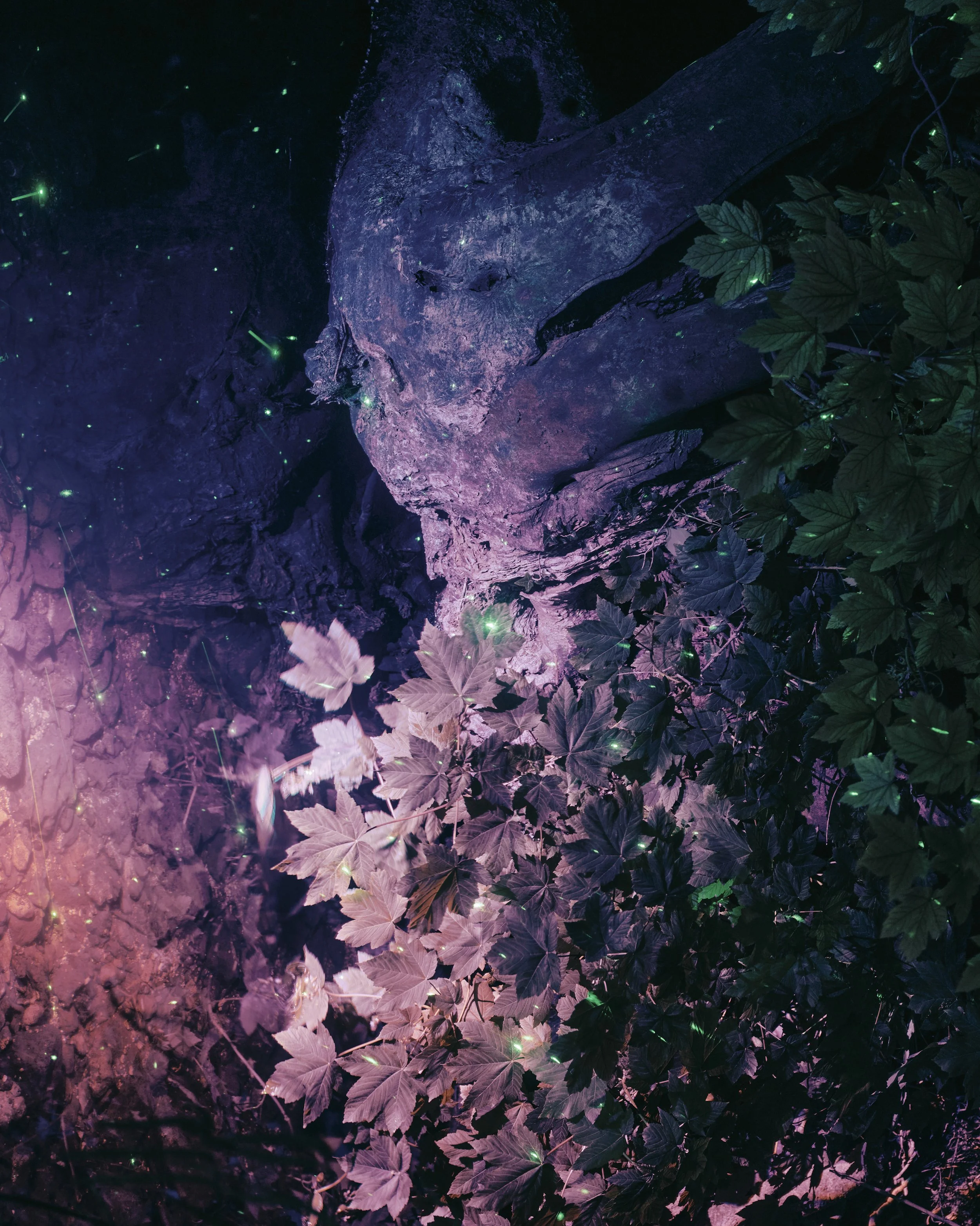 NIGHT TIME EXPERIMENTS3527007 small .jpg