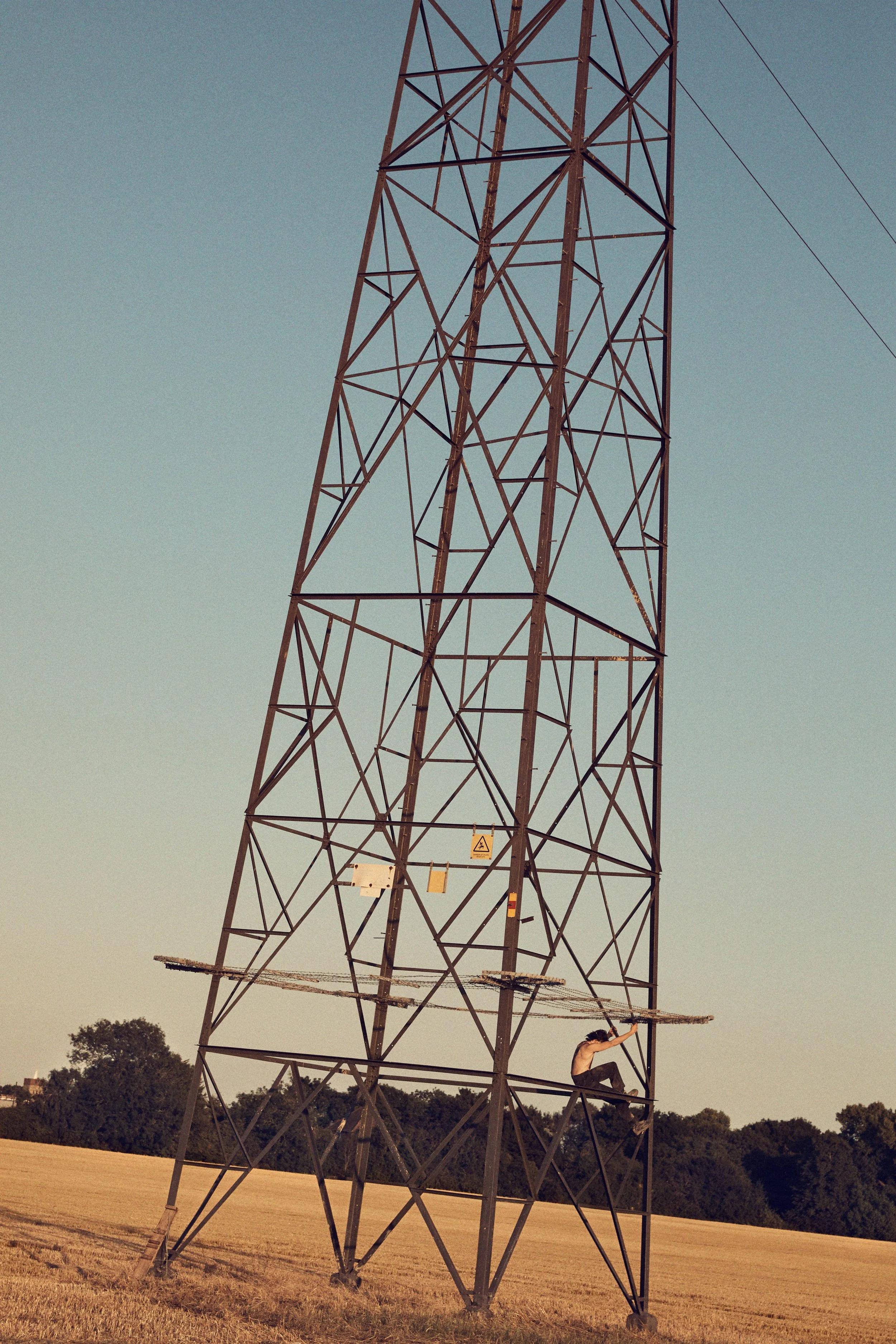 Noroflk Tiger _1197_RGB.jpg