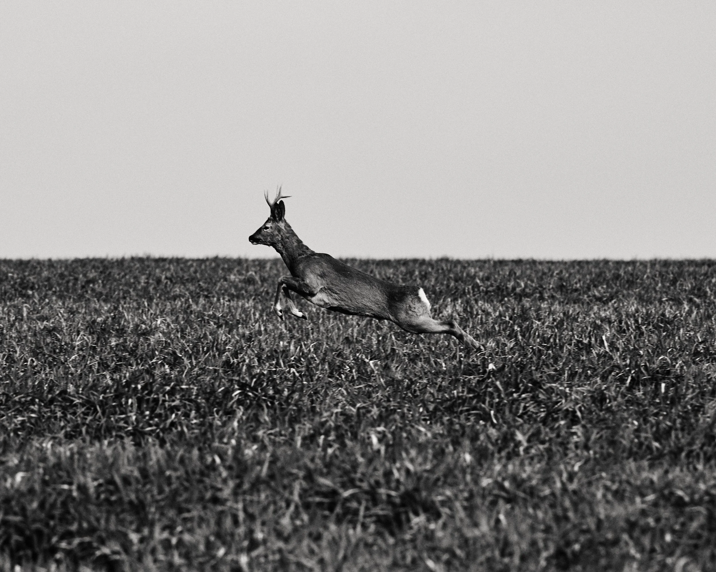 __DSC34760482011.jpg