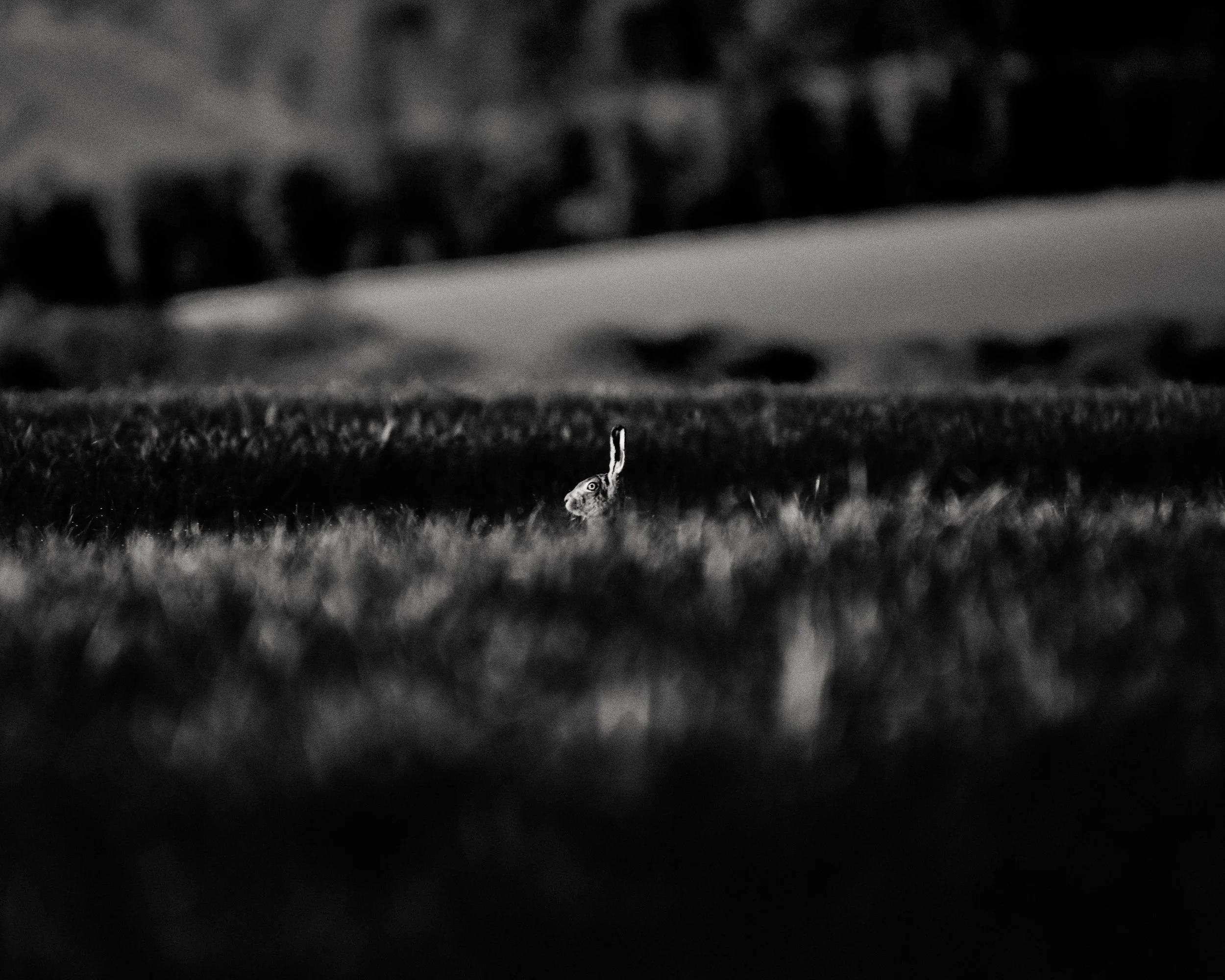 _DSC9216079004.jpg
