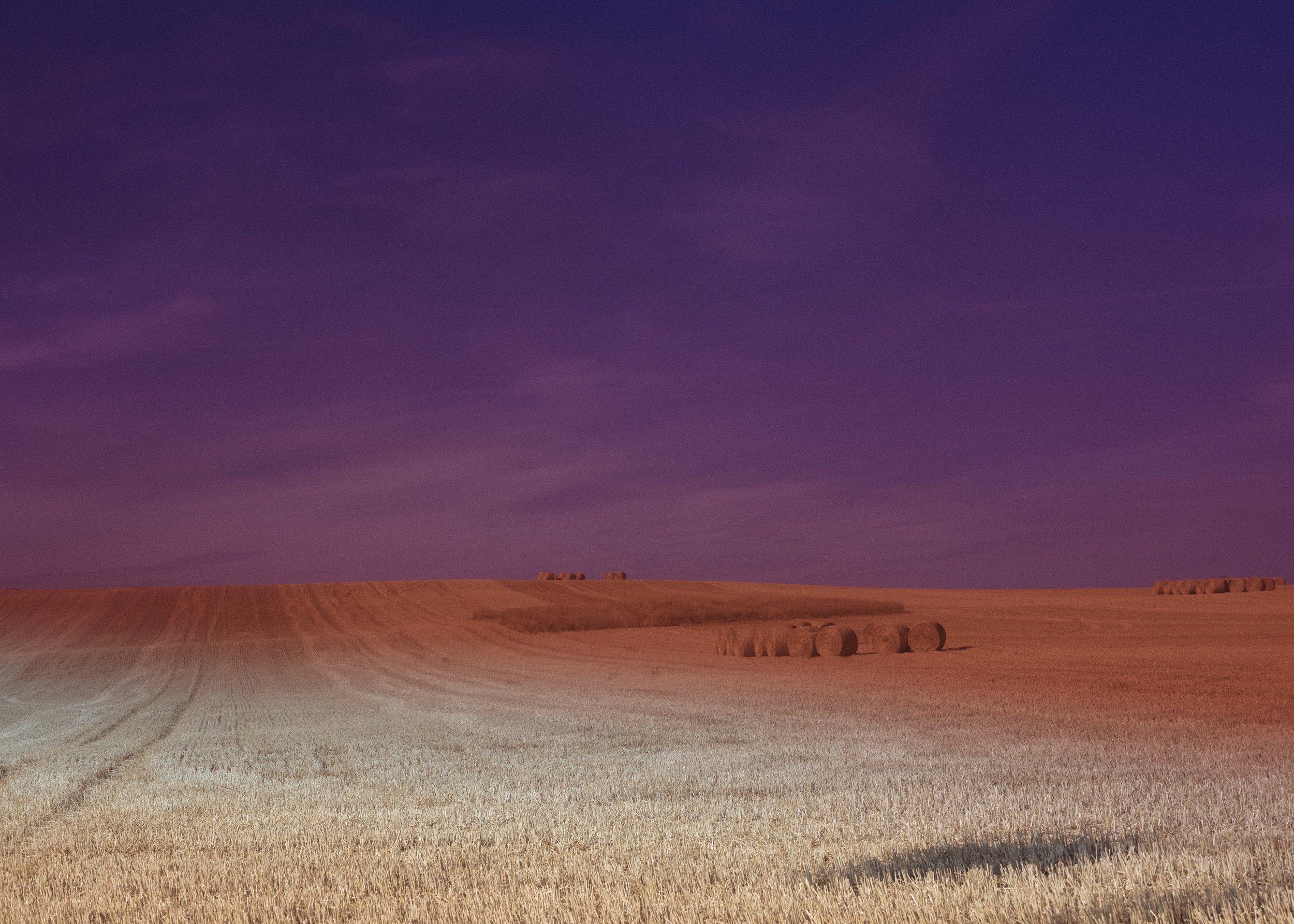 __DSF45600500001.jpg