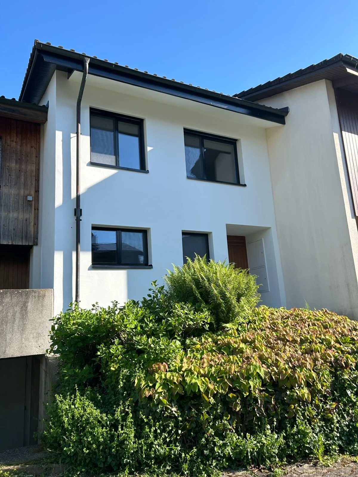 WhatsApp Image 2026-01-26 at 3.33.56 PM.jpeg