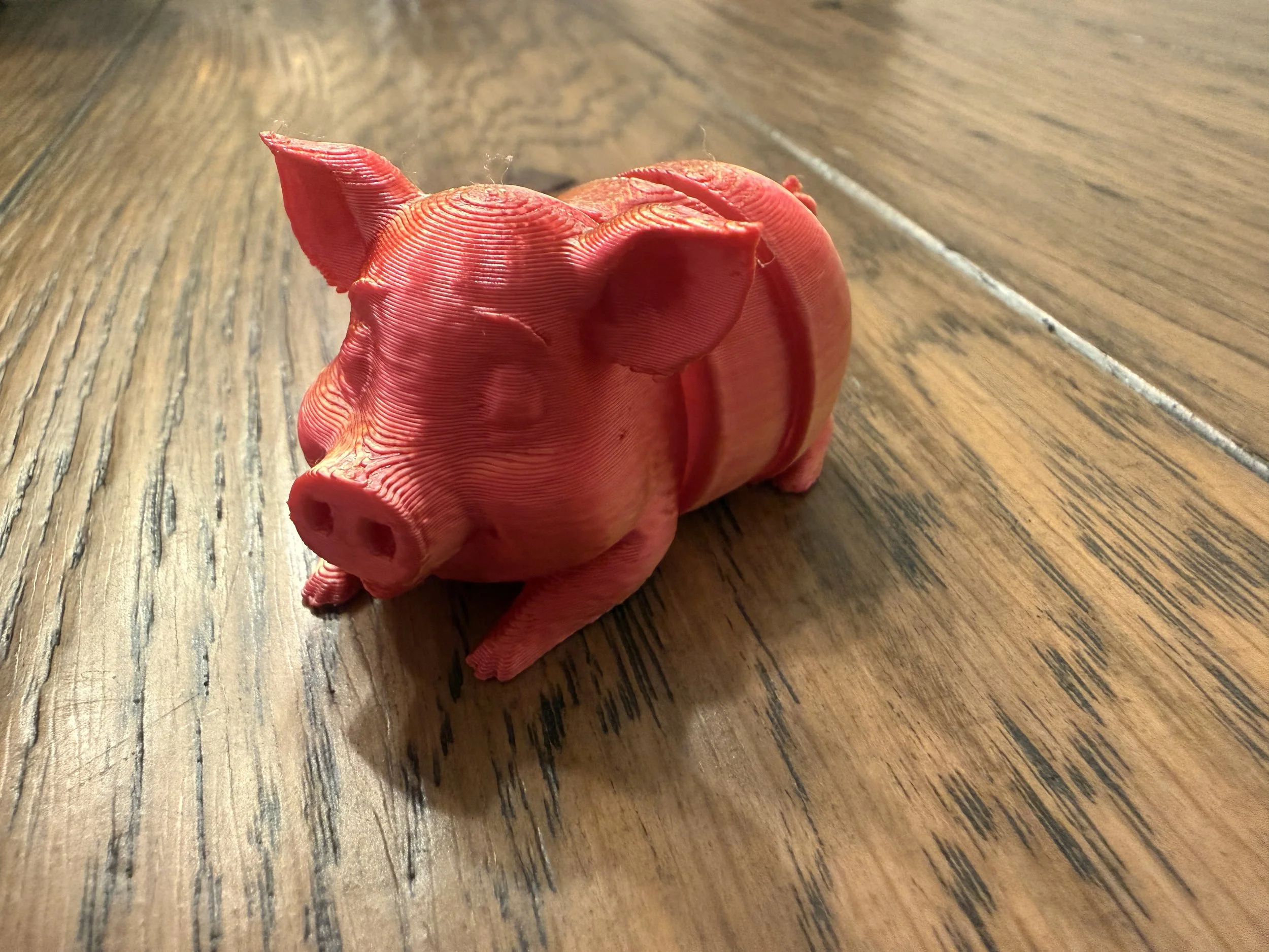 Flexi -Pig