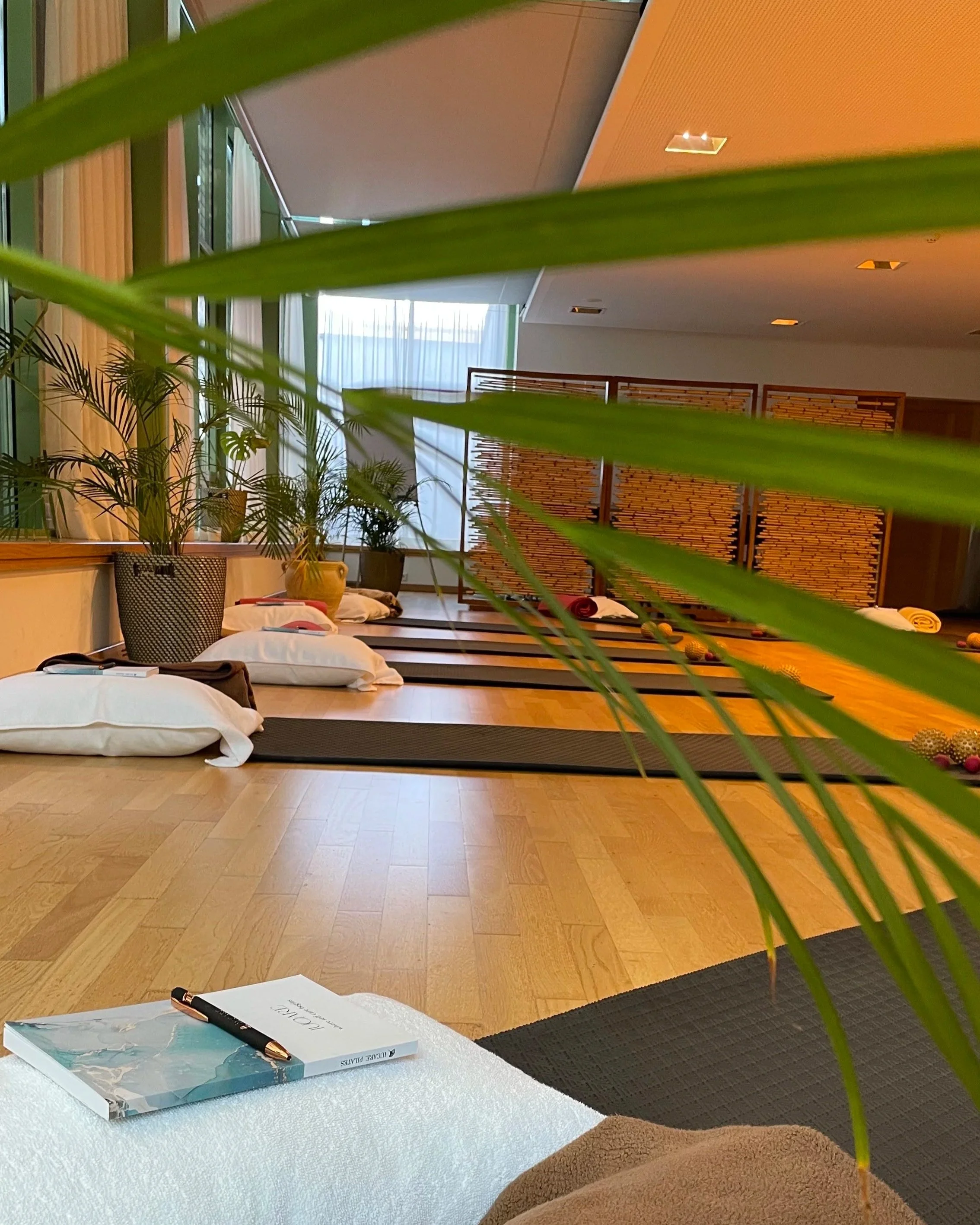 Innenraum eines Zimmers mit Yoga- oder Meditationsmatten, verschiedenen Pflanzen in Töpfen, einer weißen Tafel mit Büchern und einem Stift, Holzboden und Kissen, große Fenster mit Vorhängen, Holzlamellen-Wanddekorationen, warmes Licht.
