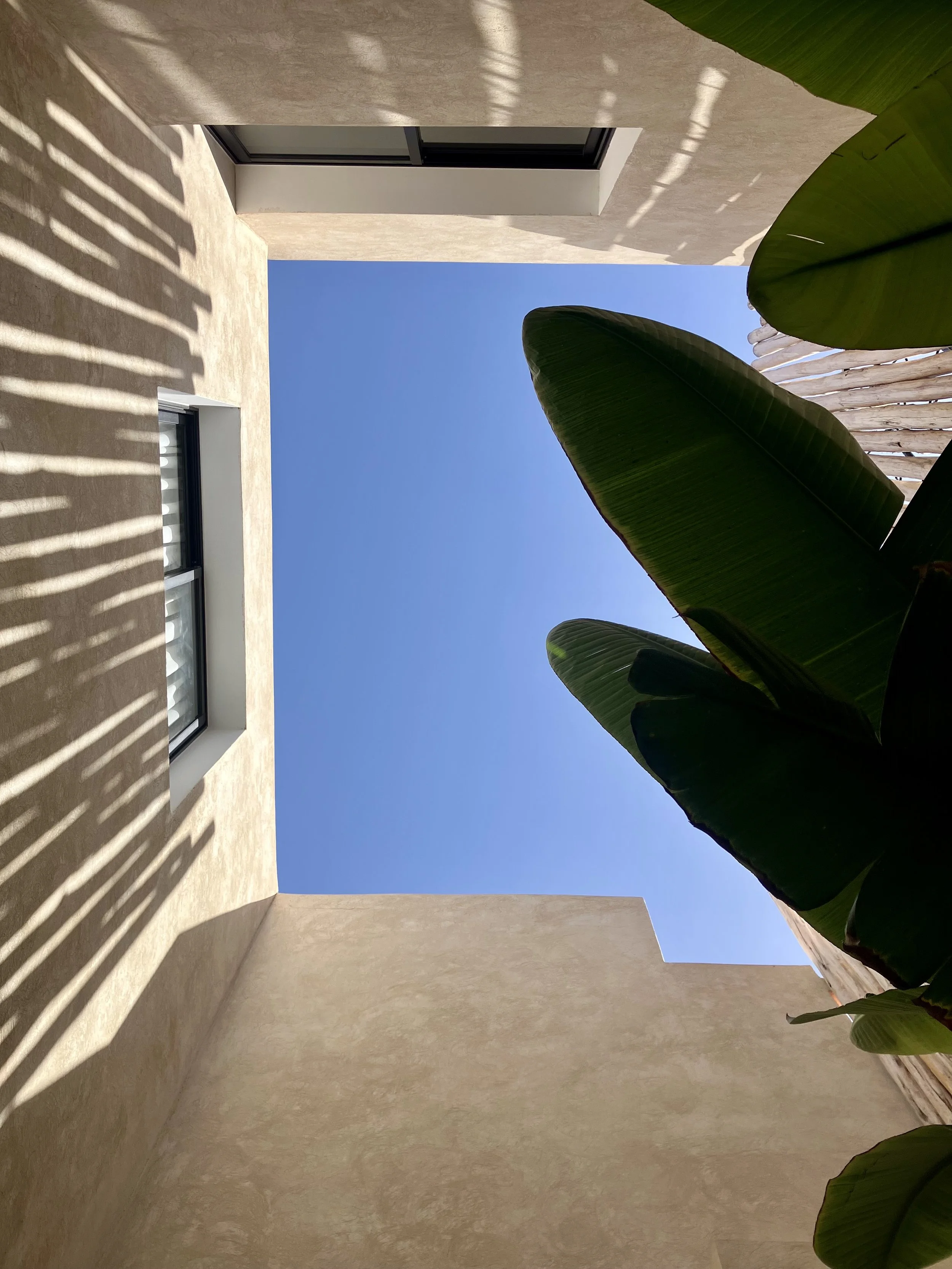 View of a courtyard with a beige stucco wall, a window with horizontal blinds, large green tropical leaves, and a clear blue sky.