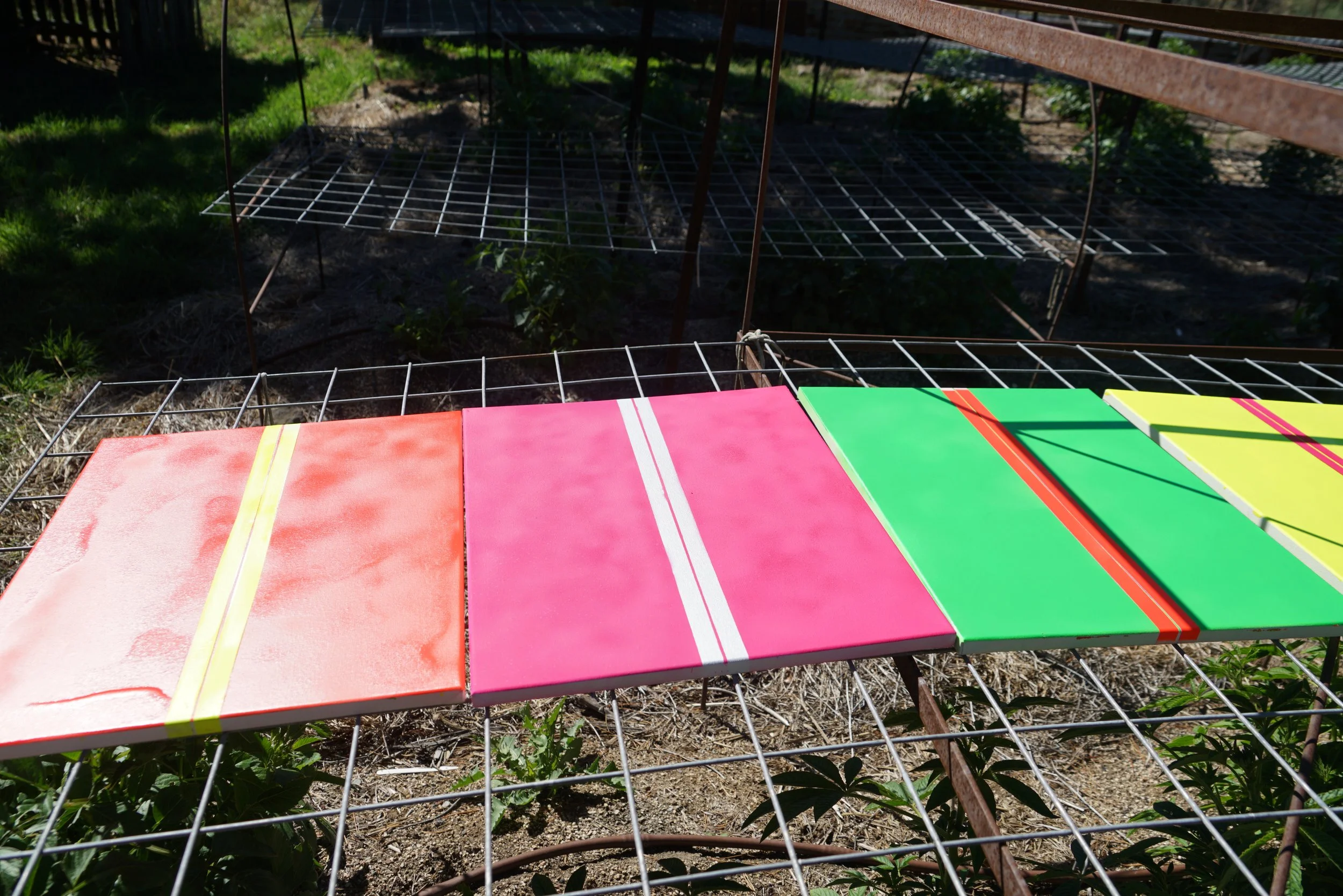 2025 Lucie Miller - Rainham Paintings - Day 1 0062.JPG