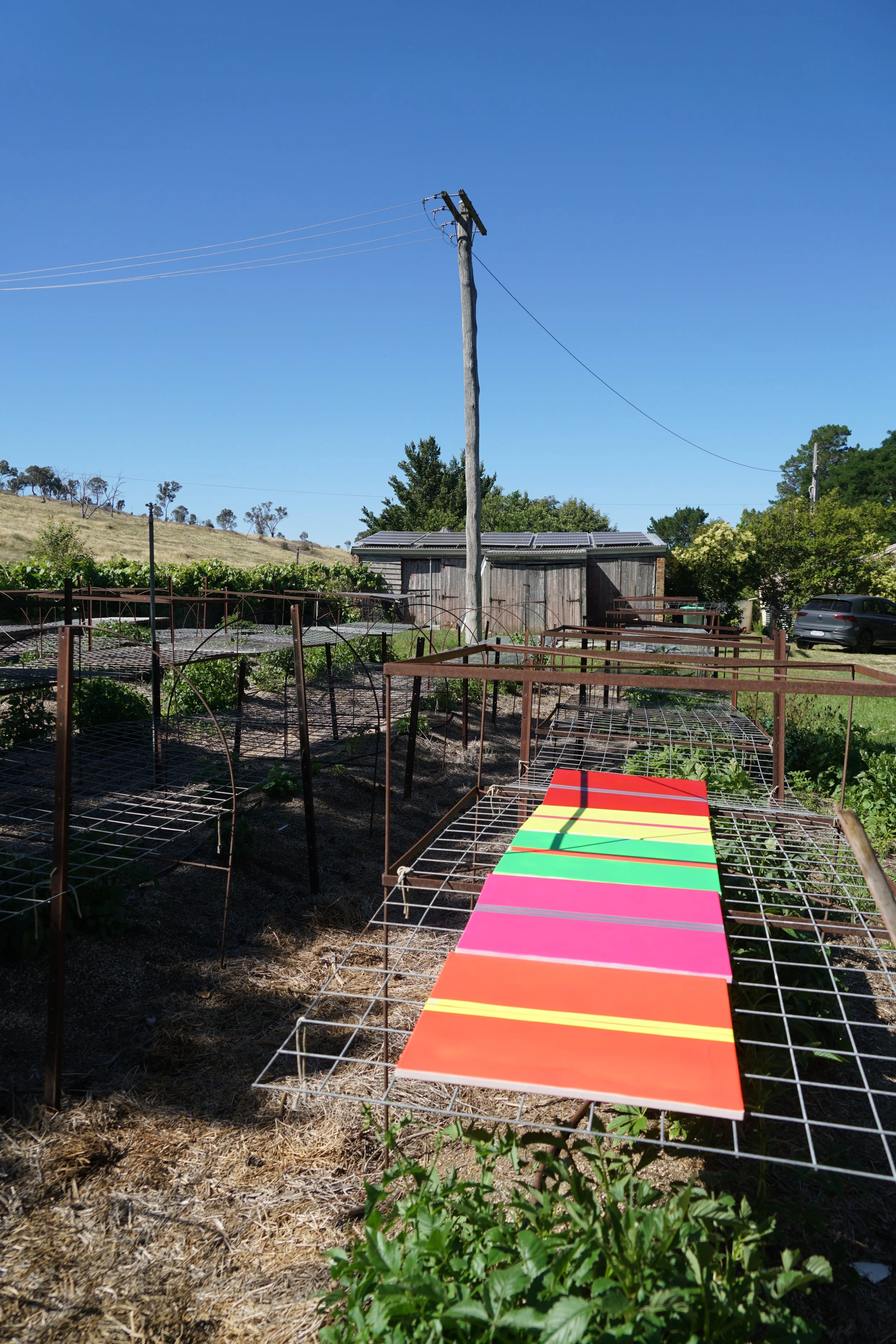 2025 Lucie Miller - Rainham Paintings - Day 1 0079.JPG