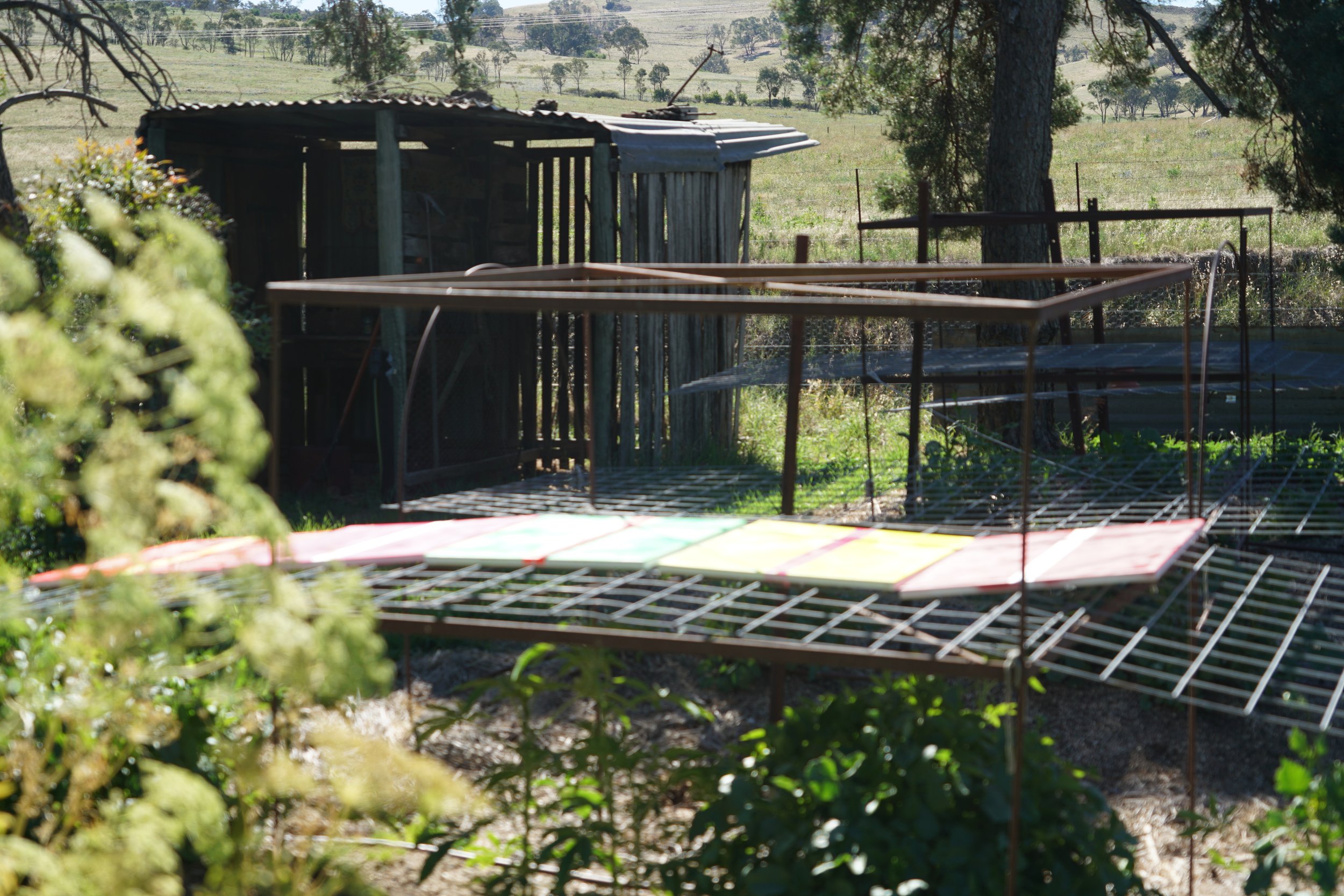 2025 Lucie Miller - Rainham Paintings - Day 1 0051.JPG