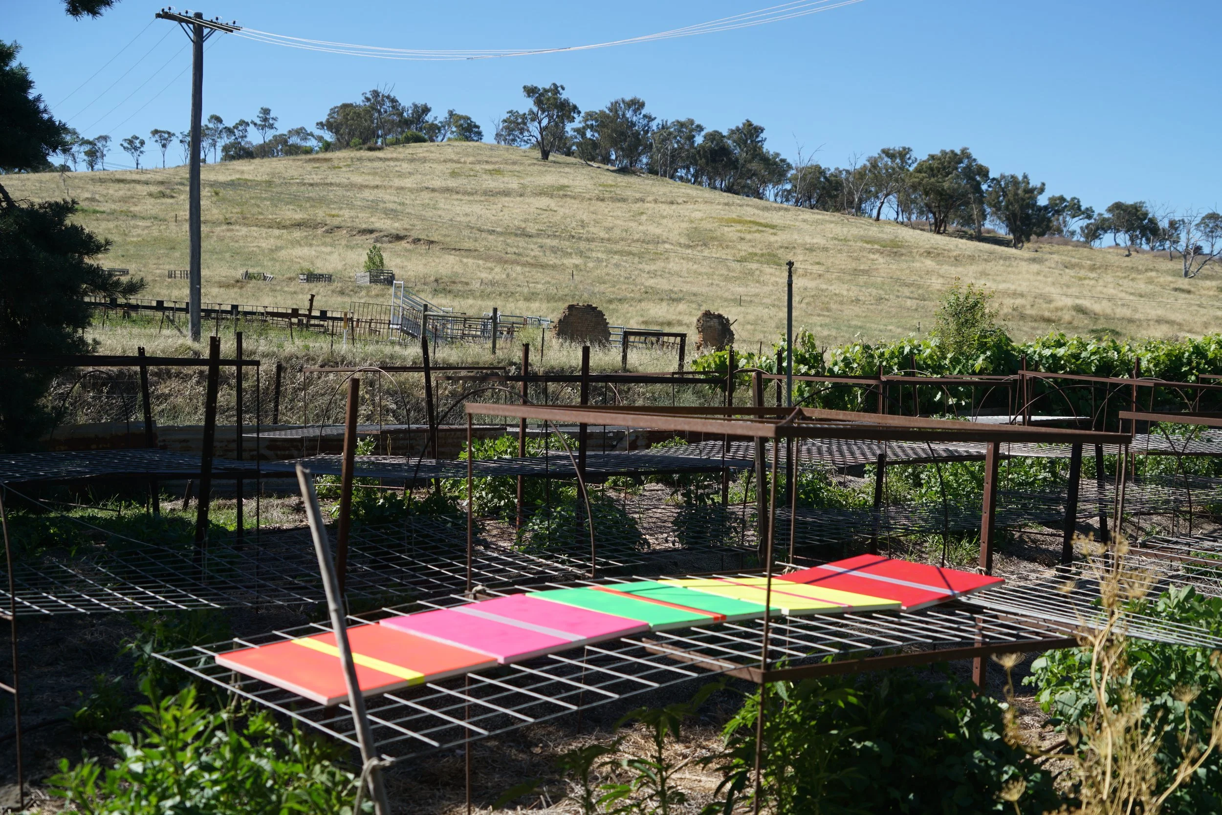 2025 Lucie Miller - Rainham Paintings - Day 1 0048.JPG