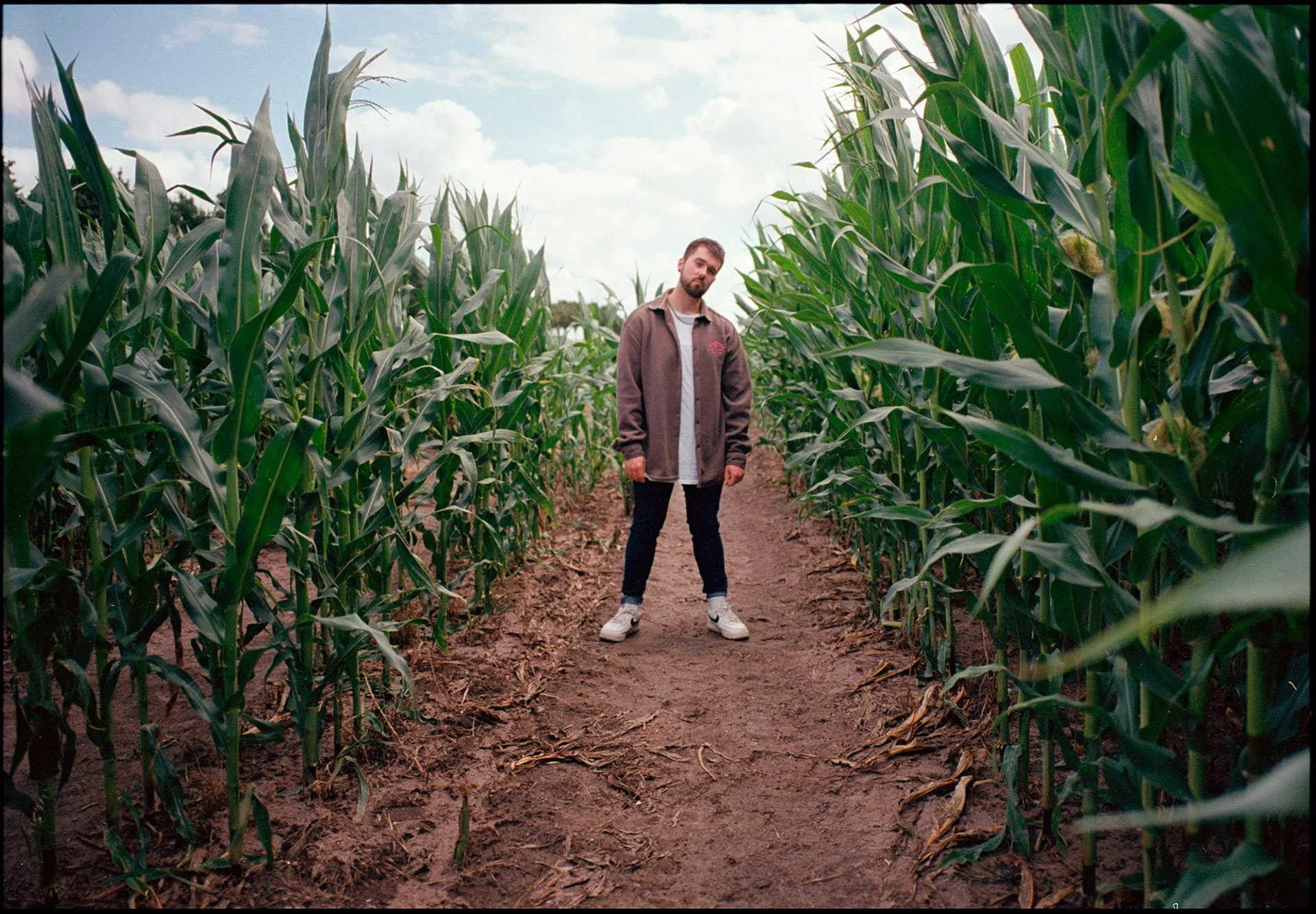 VAUH steht zwischen Maispflanzen auf einem Feld, während der Himmel bewölkt ist.