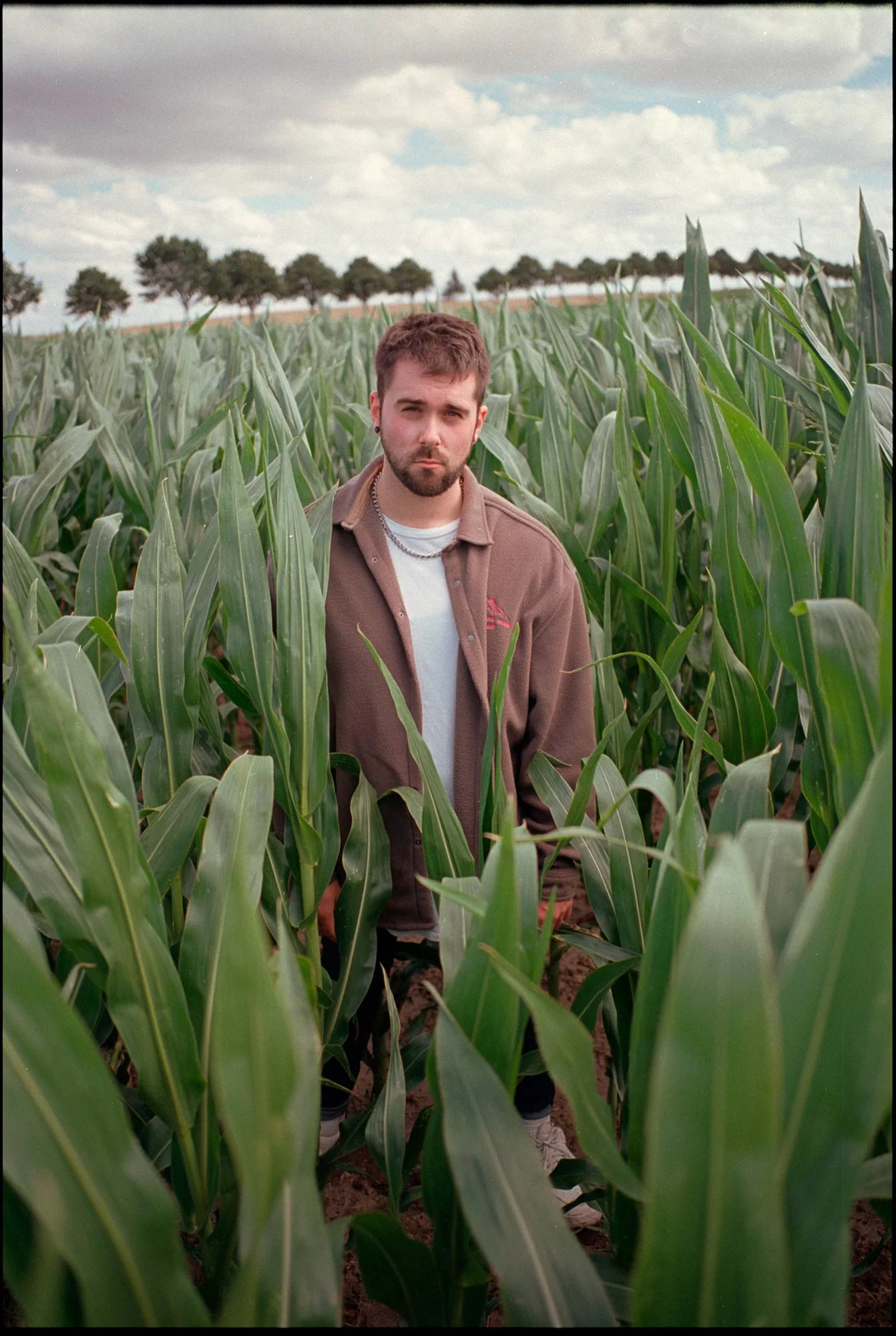 VAUH steht in einem grünen Maisfeld, bei bewölktem Himmel.