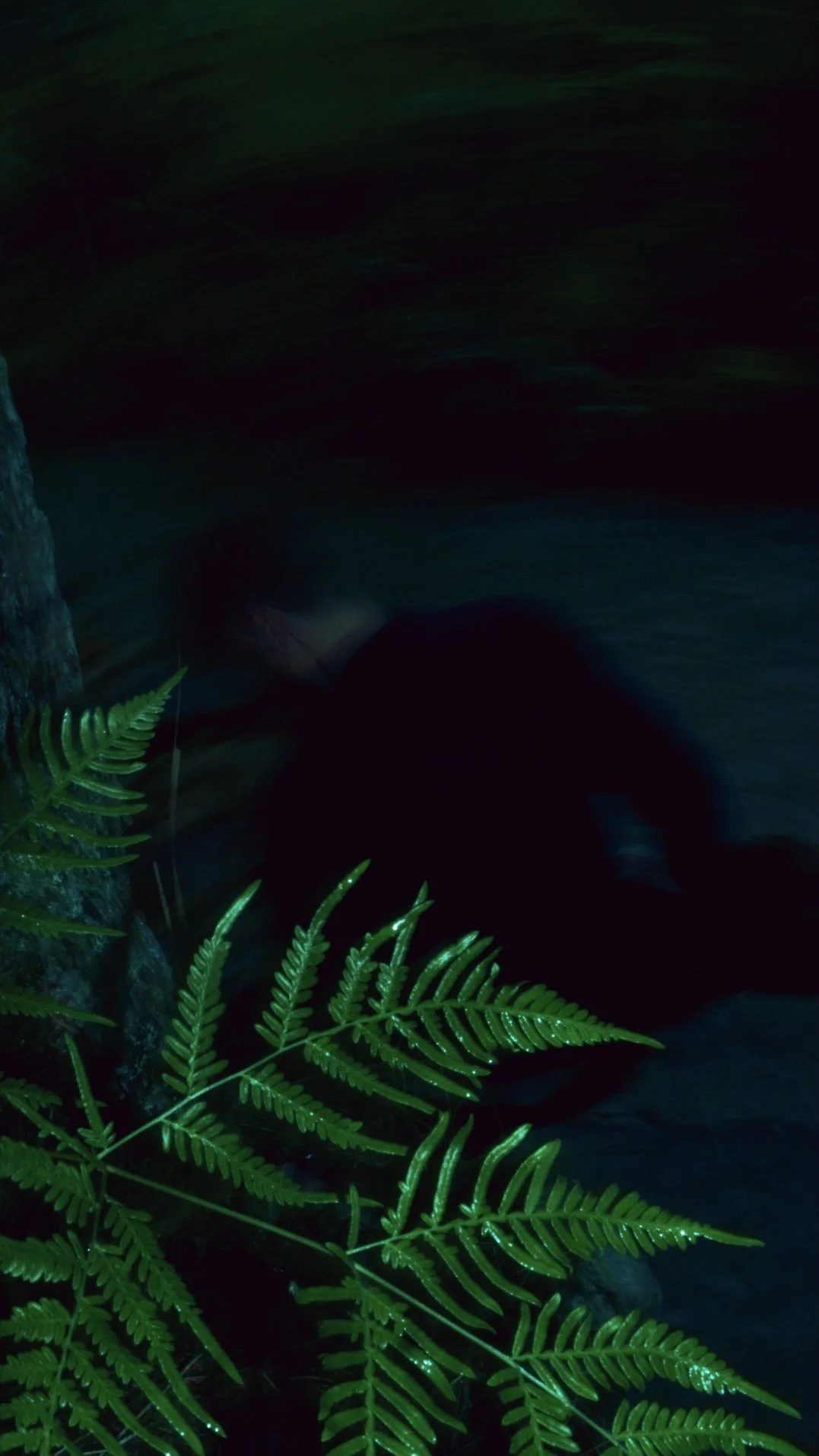 Timeline 1_01_00_01_20.jpeg