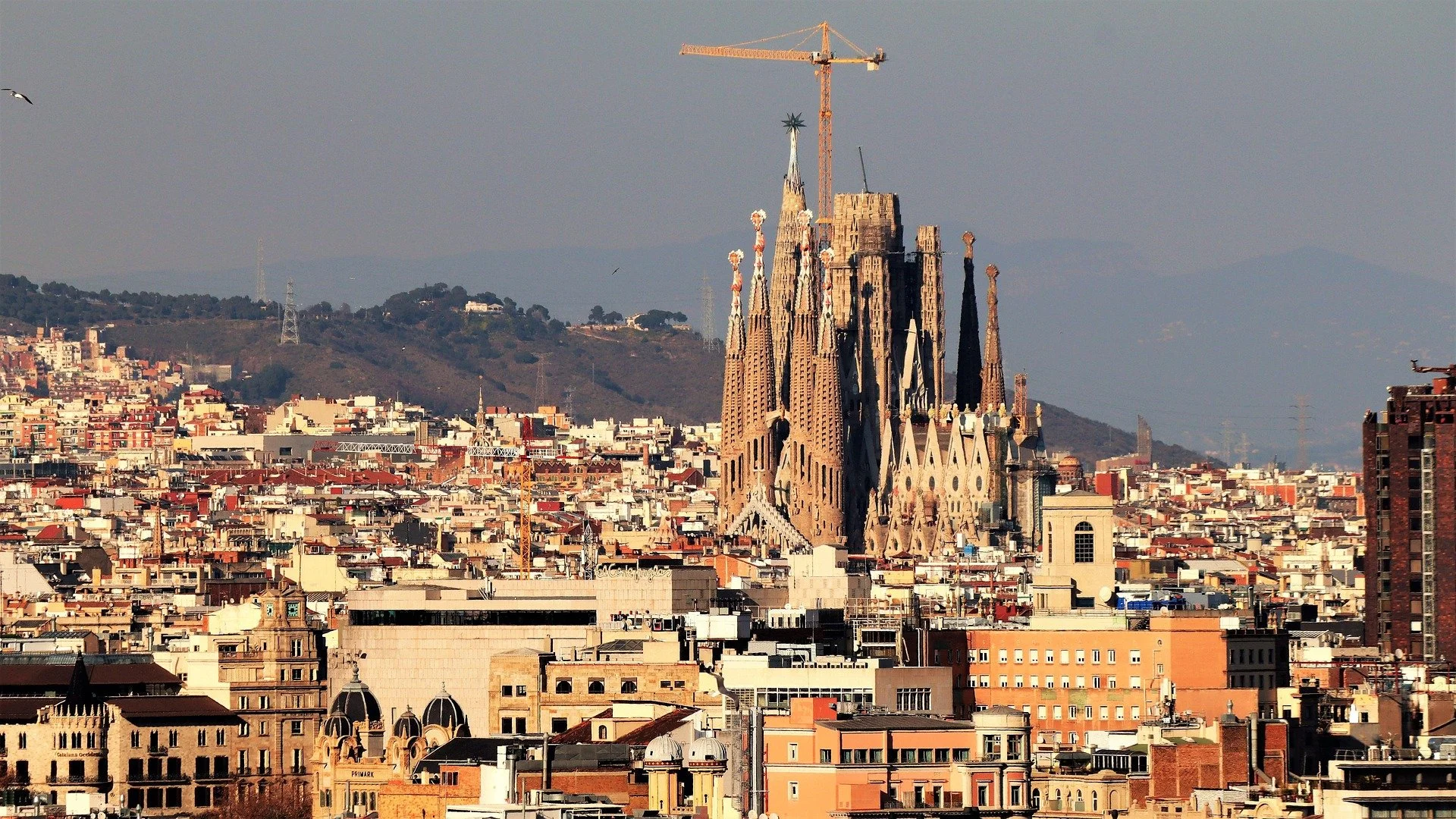 Emigrar a España