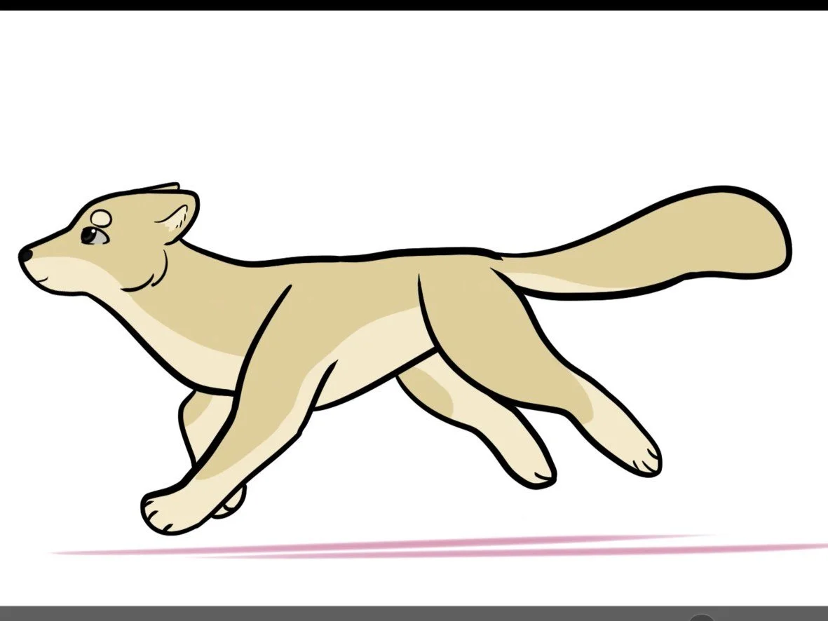2D Animation