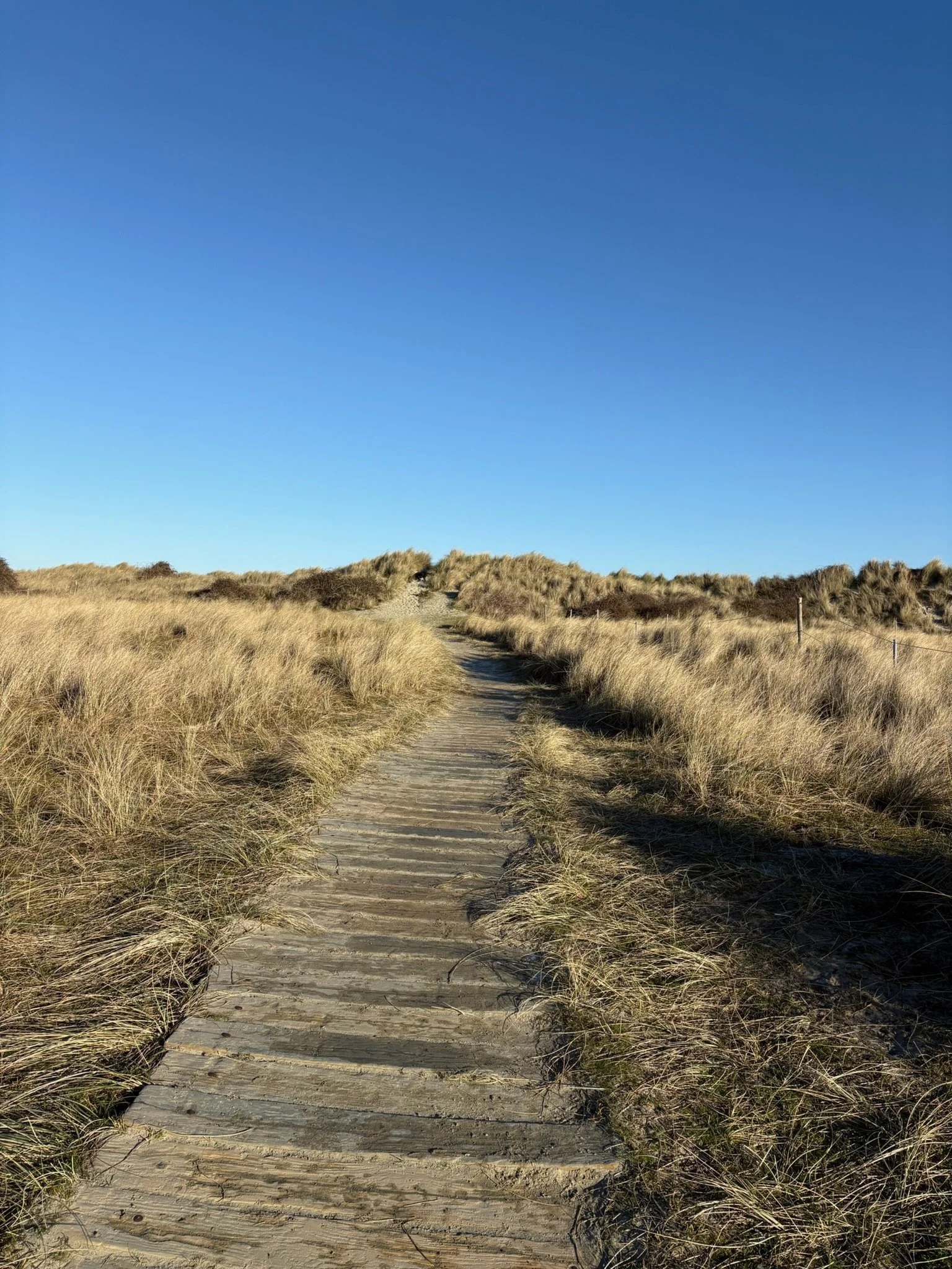 A dirt path through sand dunes with dry grass under a clear blue sky.