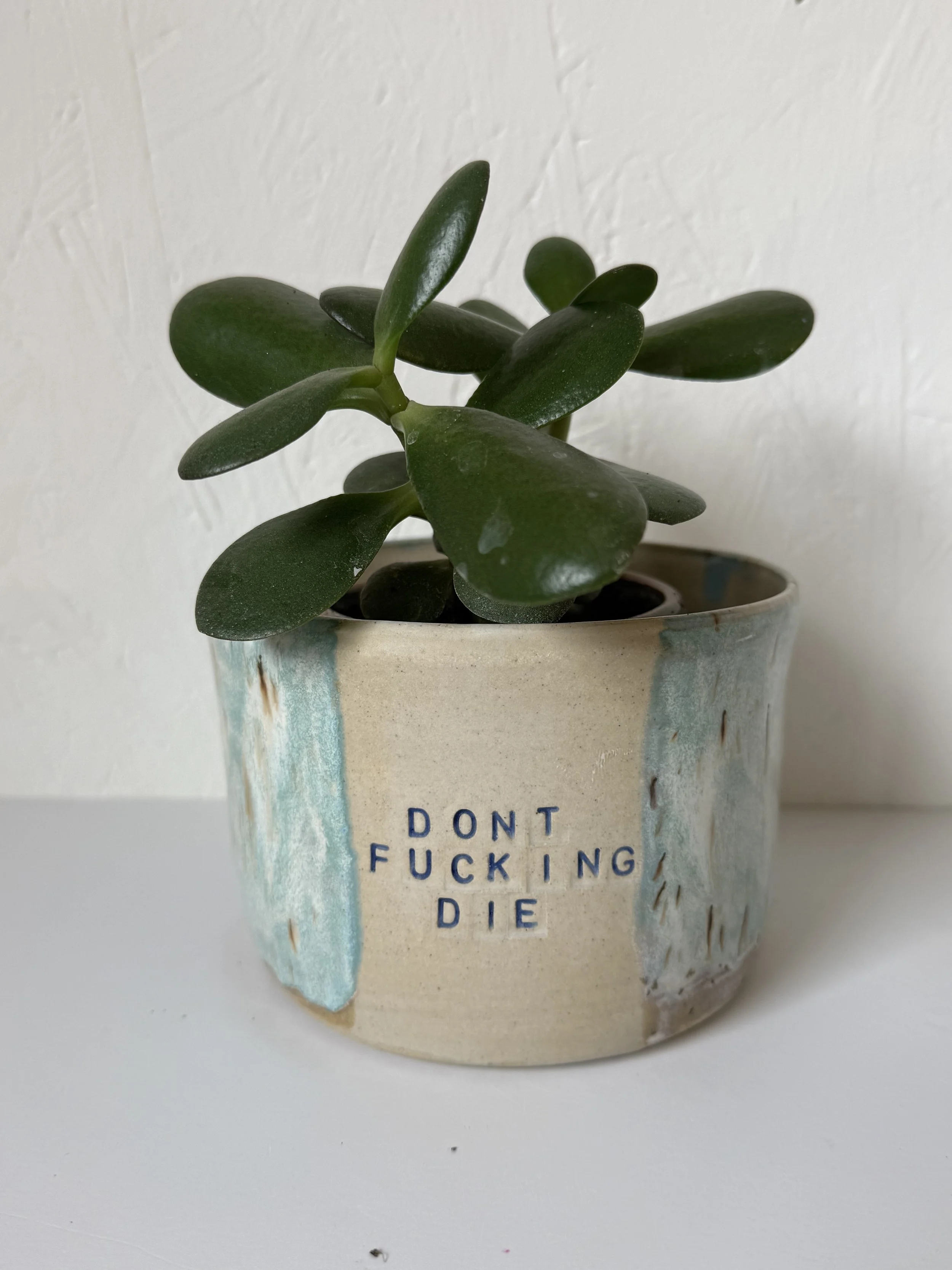 Don't F*cking Die Planter