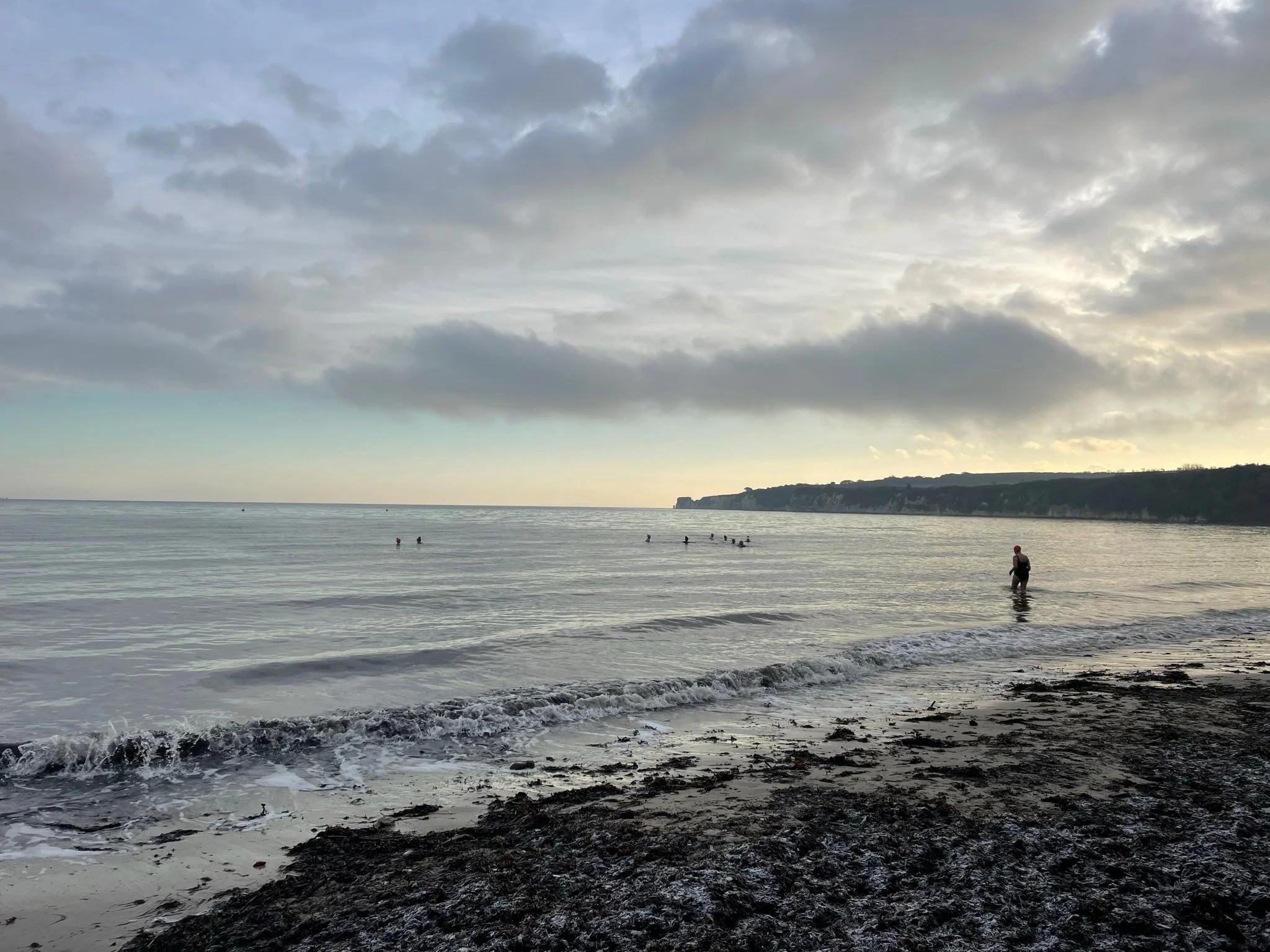 A person stands in shallow water near the beach, looking at the ocean, with other swimmers farther out. The beach has dark sand and seaweed, and there are cliffs in the distance under a cloudy sky.