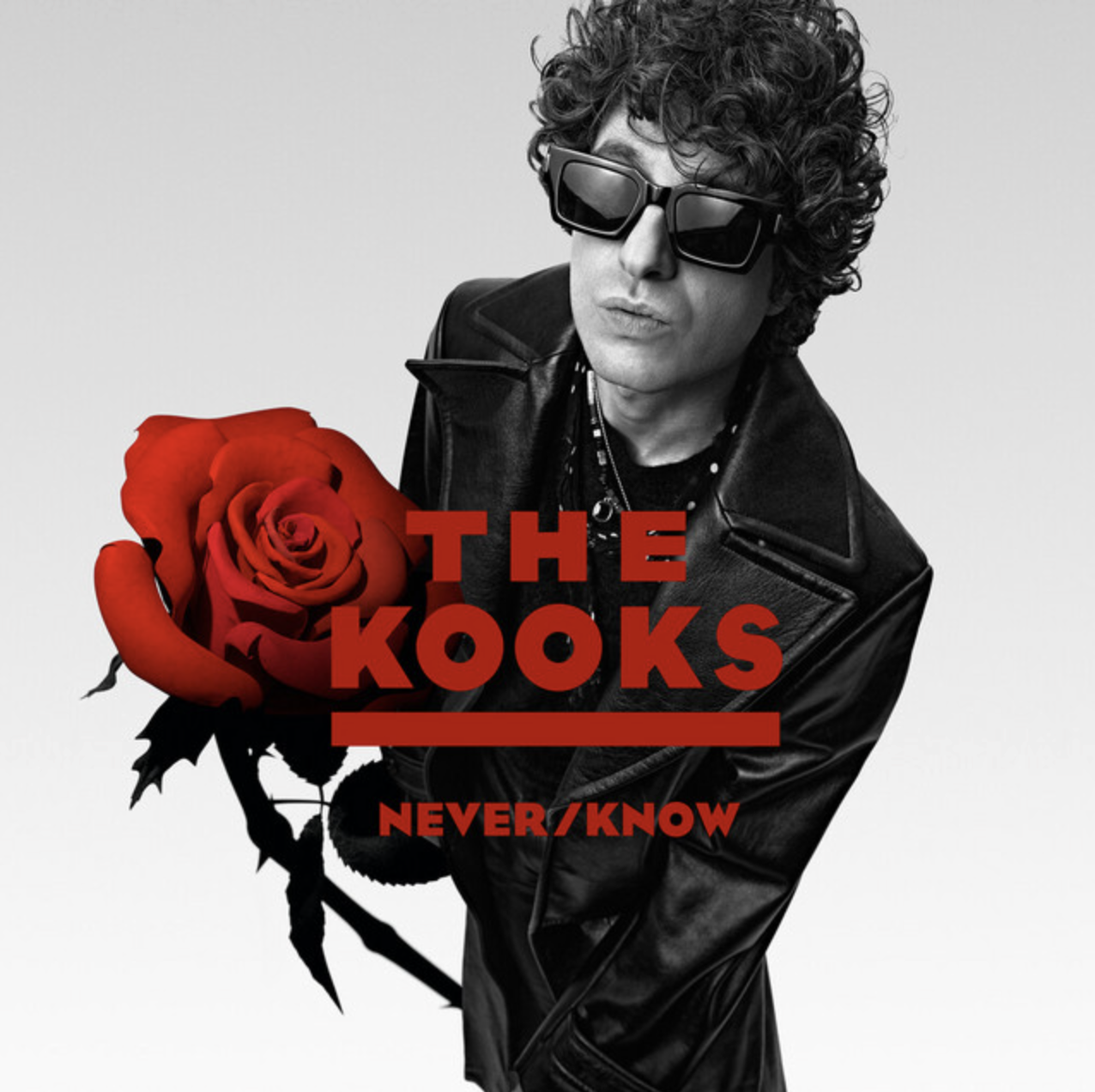 The Kooks - Never/Know (Synths)