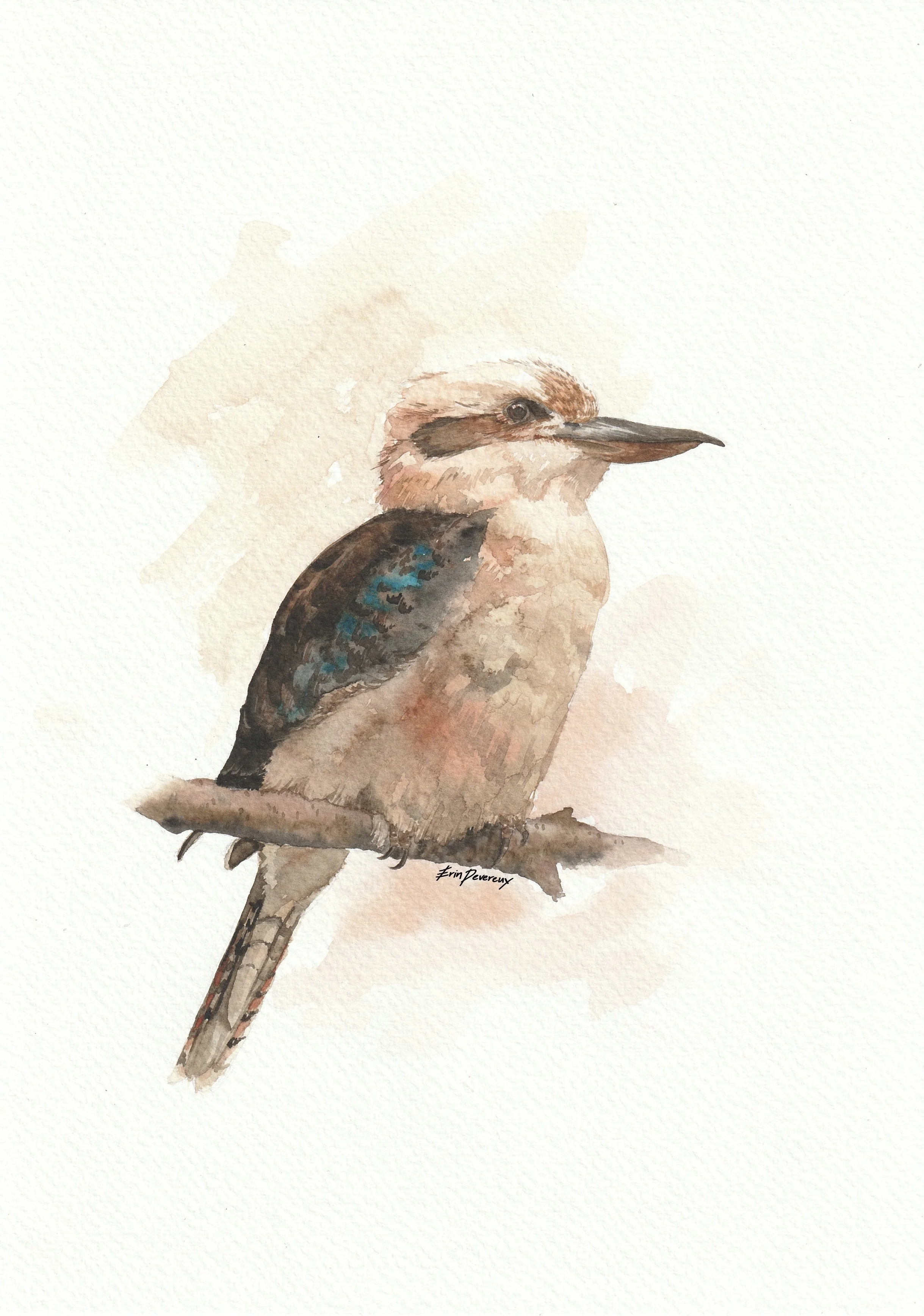 Watercolour Kookaburra Print