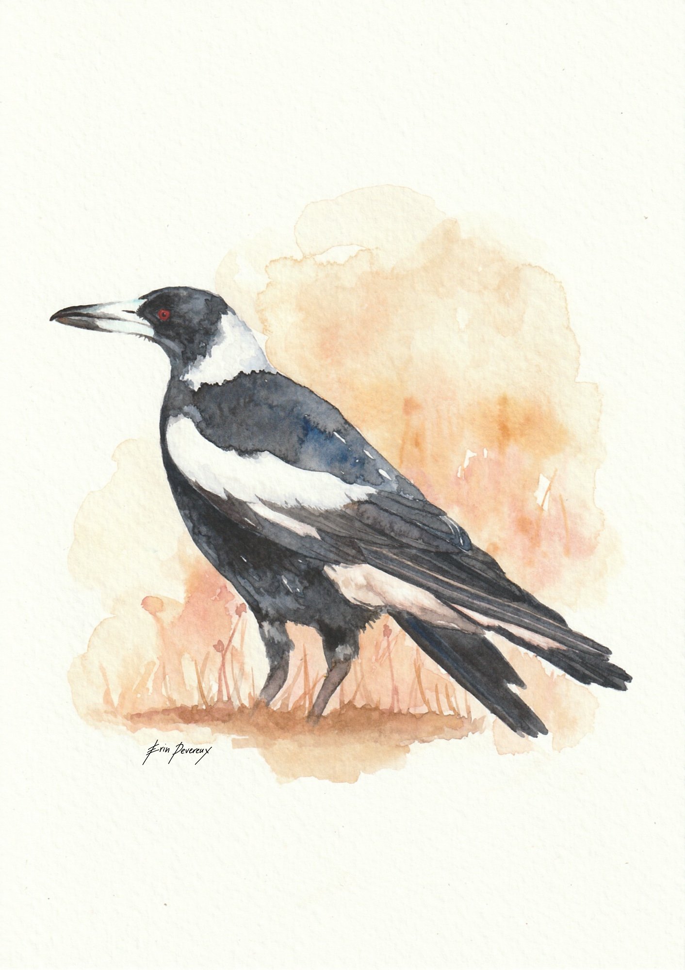 Watercolour Magpie Print
