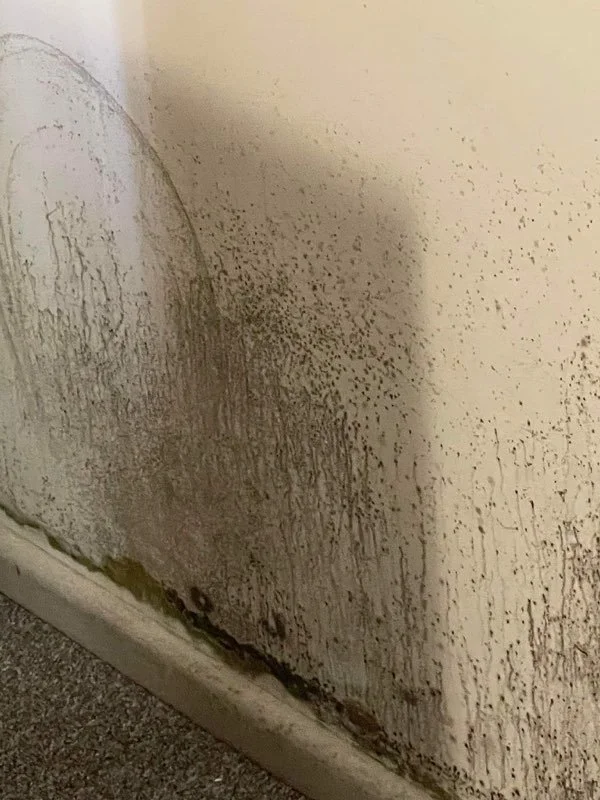 Mould to wall 2.jpg