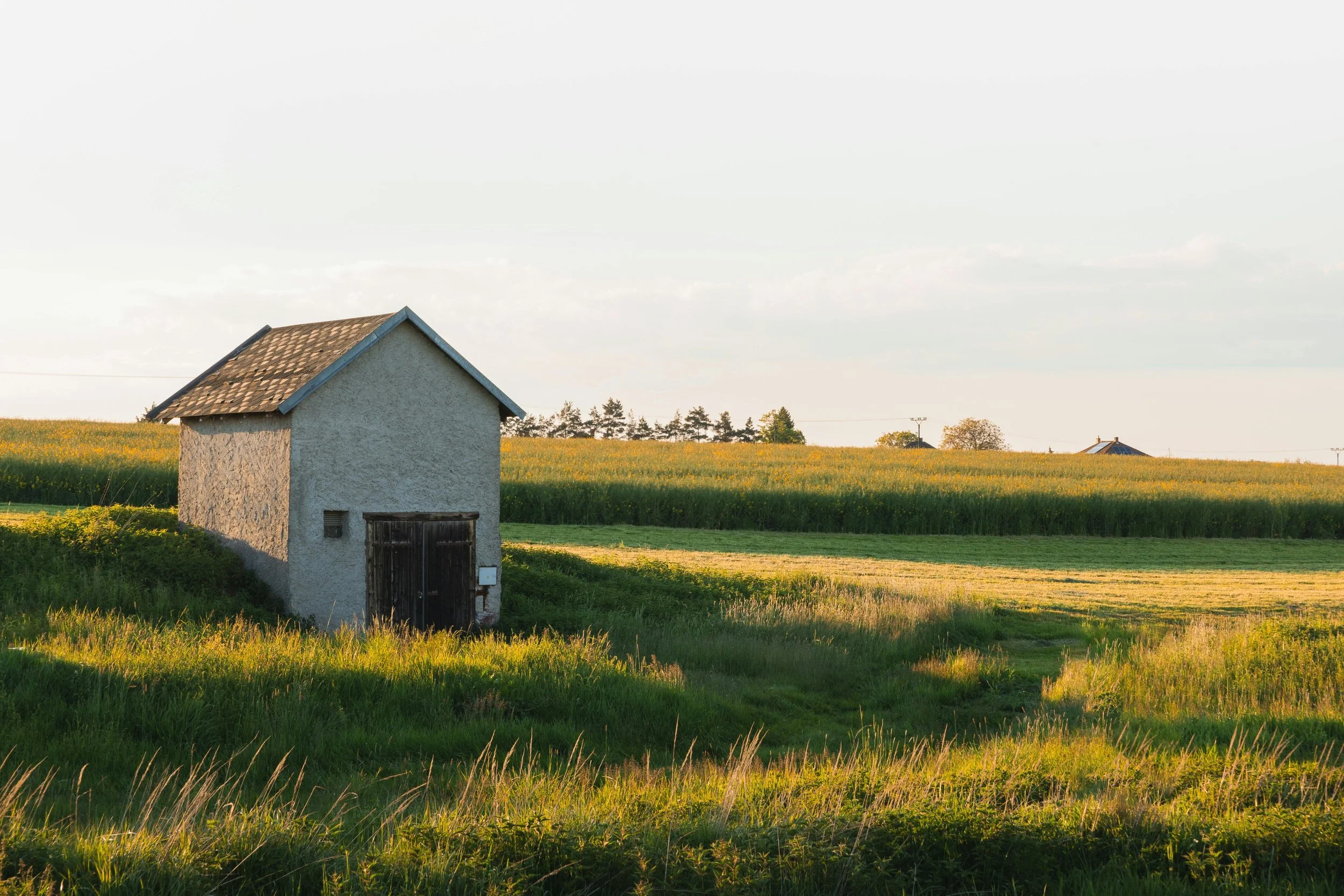 A small white house with a shingled roof in a green field during sunset, with trees and other houses in the background.