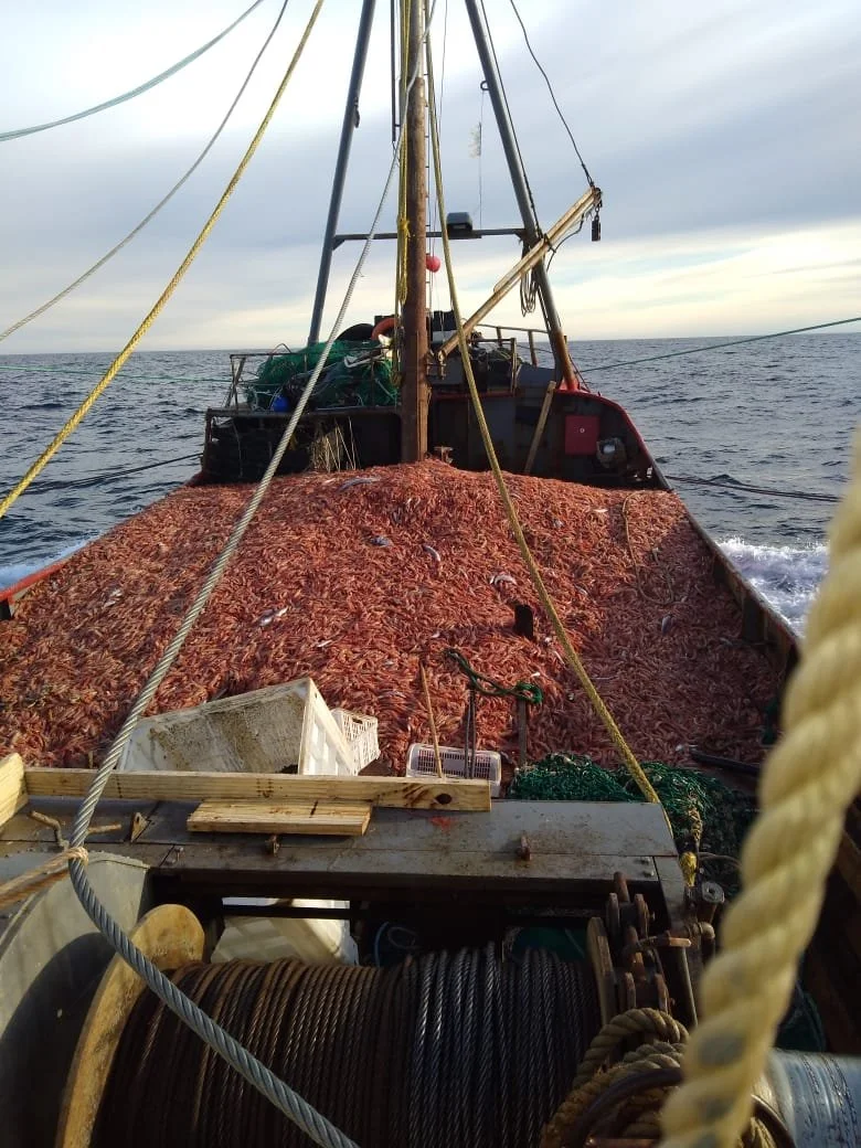 WhatsApp Image 2022-08-06 at 11.53.43 AM (2).jpeg