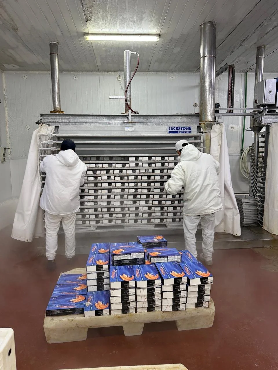 WhatsApp Image 2026-01-09 at 1.53.26 PM (1).jpeg