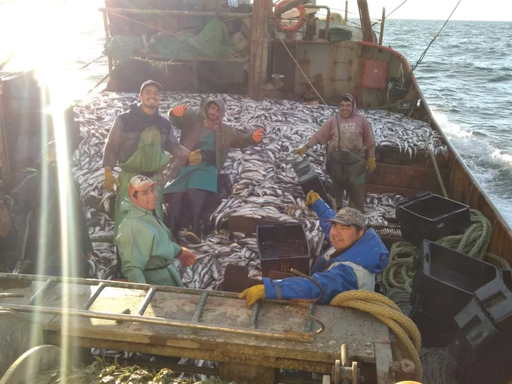 WhatsApp Image 2022-08-06 at 11.56.32 AM.jpeg