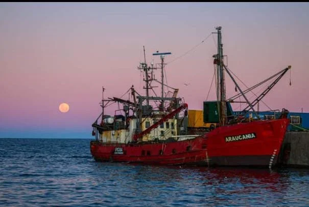 WhatsApp Image 2022-08-06 at 10.27.09 AM.jpeg