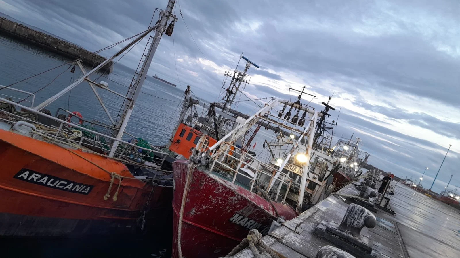 WhatsApp Image 2025-01-25 at 13.37.41.jpeg