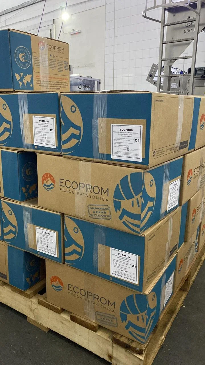 WhatsApp Image 2026-01-09 at 1.42.30 PM (11).jpeg