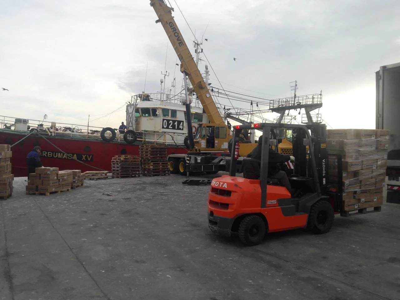 WhatsApp Image 2026-01-09 at 1.28.00 PM (1).jpeg