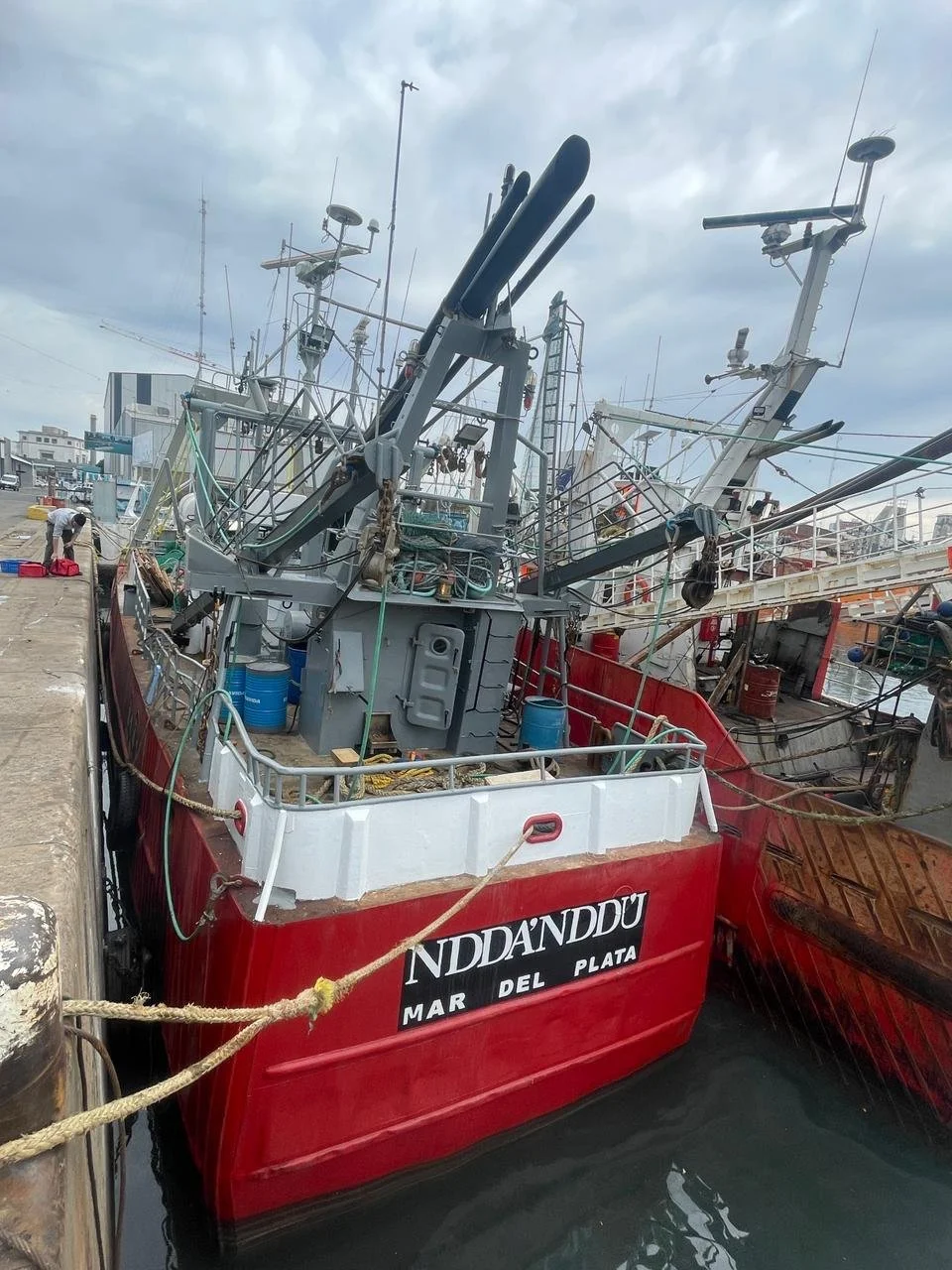 WhatsApp Image 2026-01-09 at 1.51.18 PM (2).jpeg