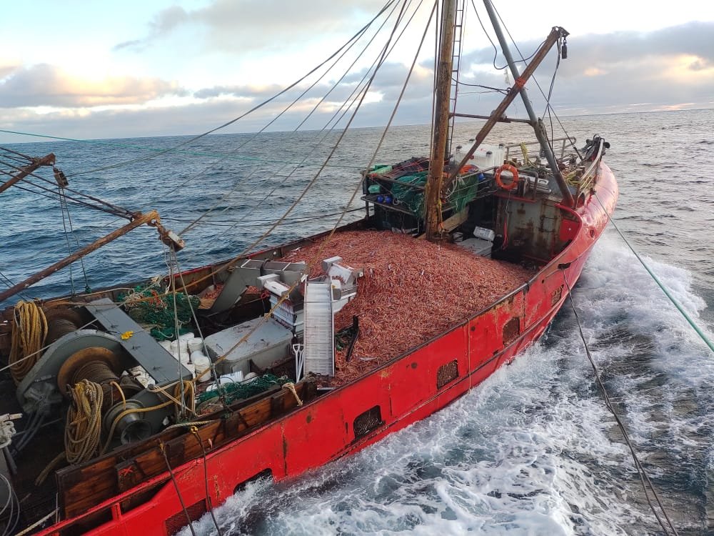 WhatsApp Image 2022-08-06 at 10.12.47 AM.jpeg