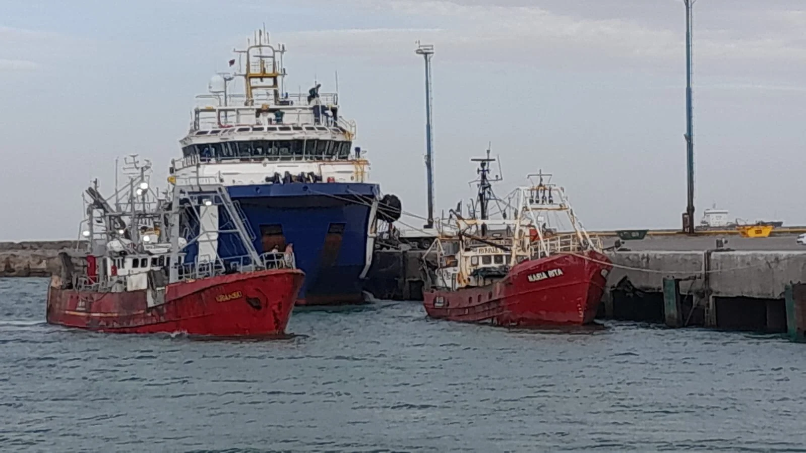 WhatsApp Image 2025-01-25 at 13.36.13.jpeg