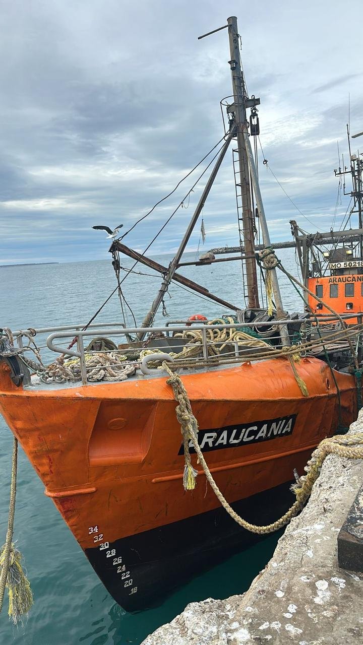 WhatsApp Image 2025-01-27 at 11.44.46 (1).jpeg