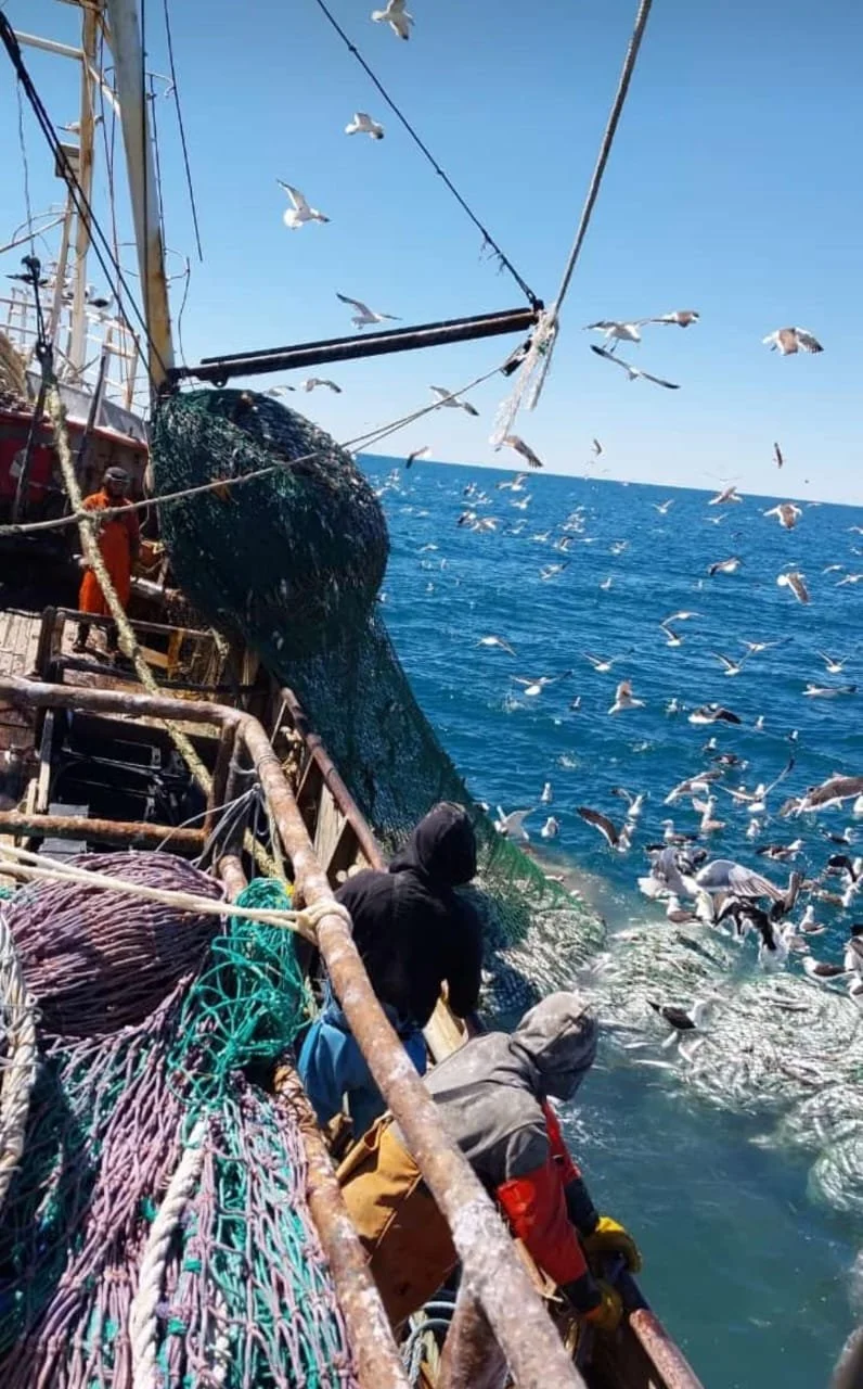 WhatsApp Image 2025-01-29 at 08.05.50 (2).jpeg