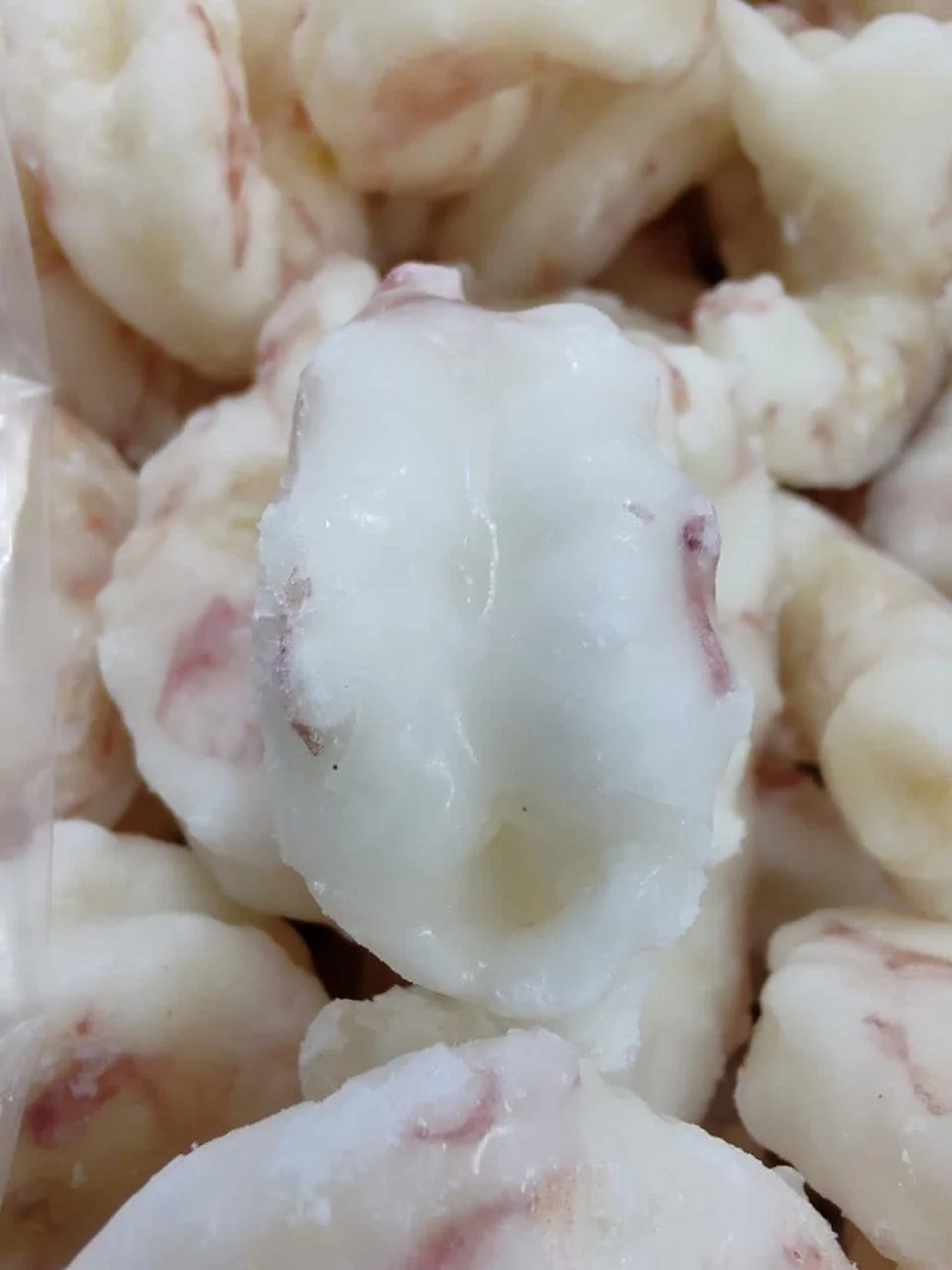 WhatsApp Image 2026-01-09 at 1.42.29 PM.jpeg