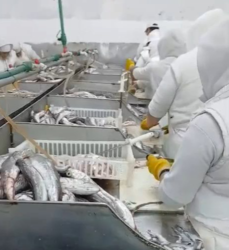 Captura de pantalla 2026-01-16 132156.png