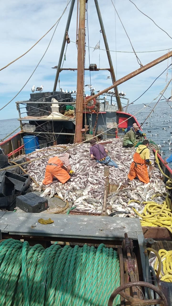 WhatsApp Image 2023-11-25 at 14.57.38.jpeg