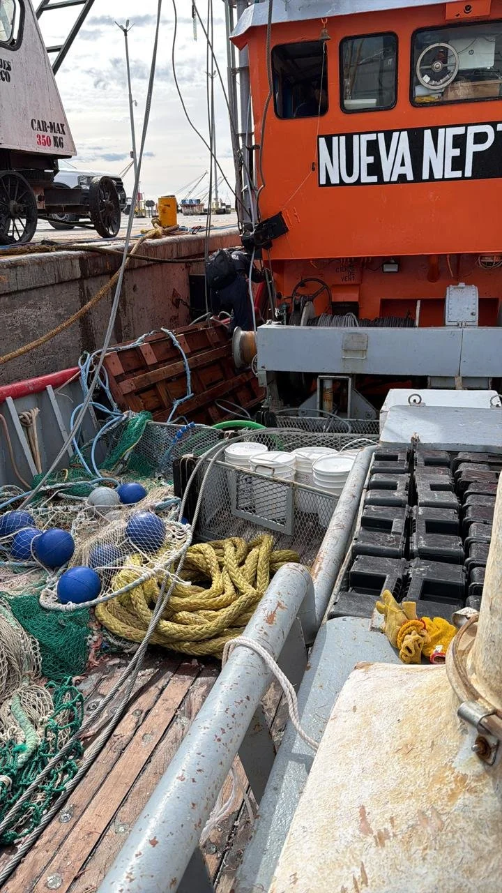 WhatsApp Image 2026-01-09 at 1.53.19 PM.jpeg