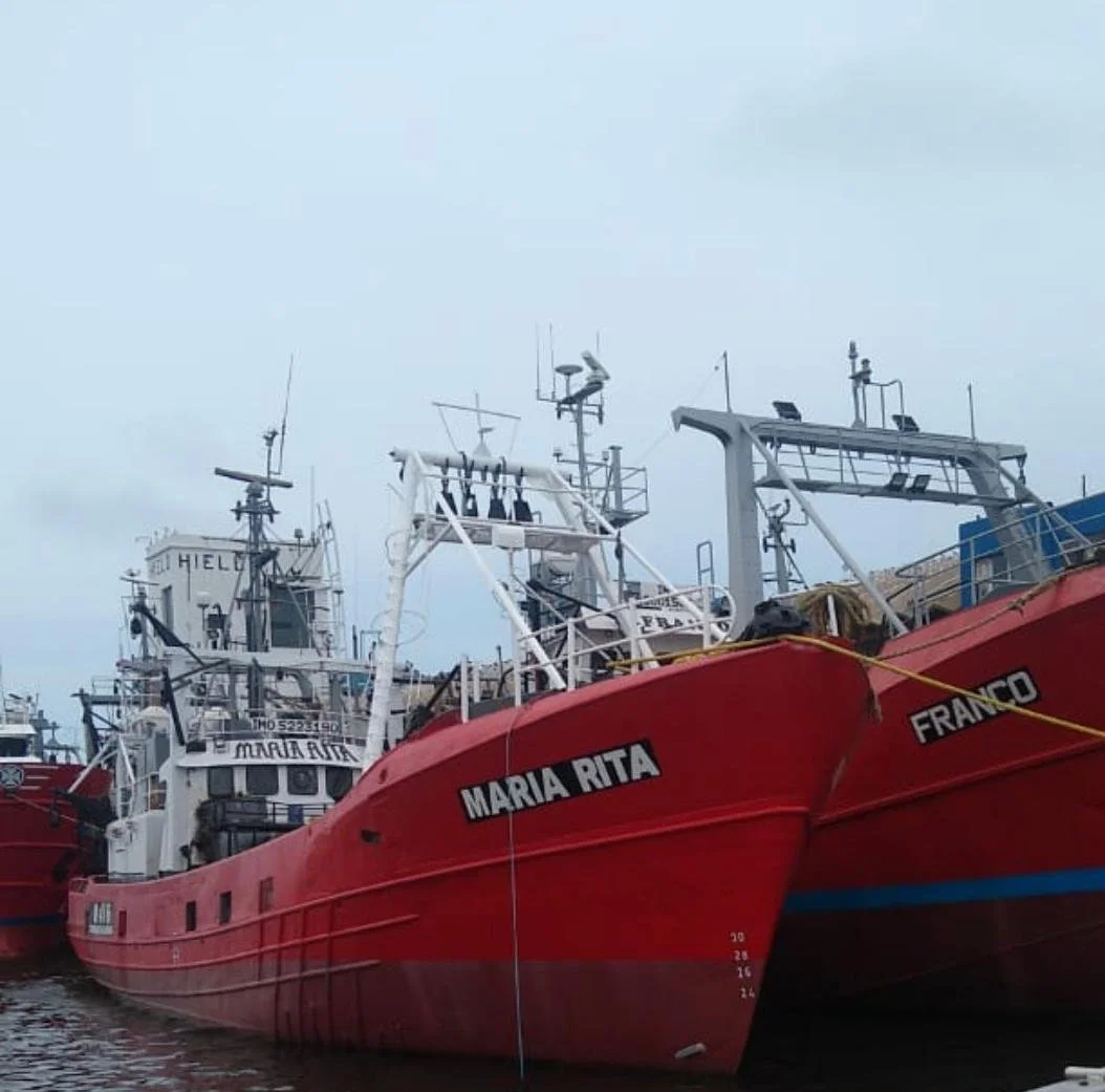 WhatsApp Image 2026-01-09 at 1.41.37 PM (1).jpeg