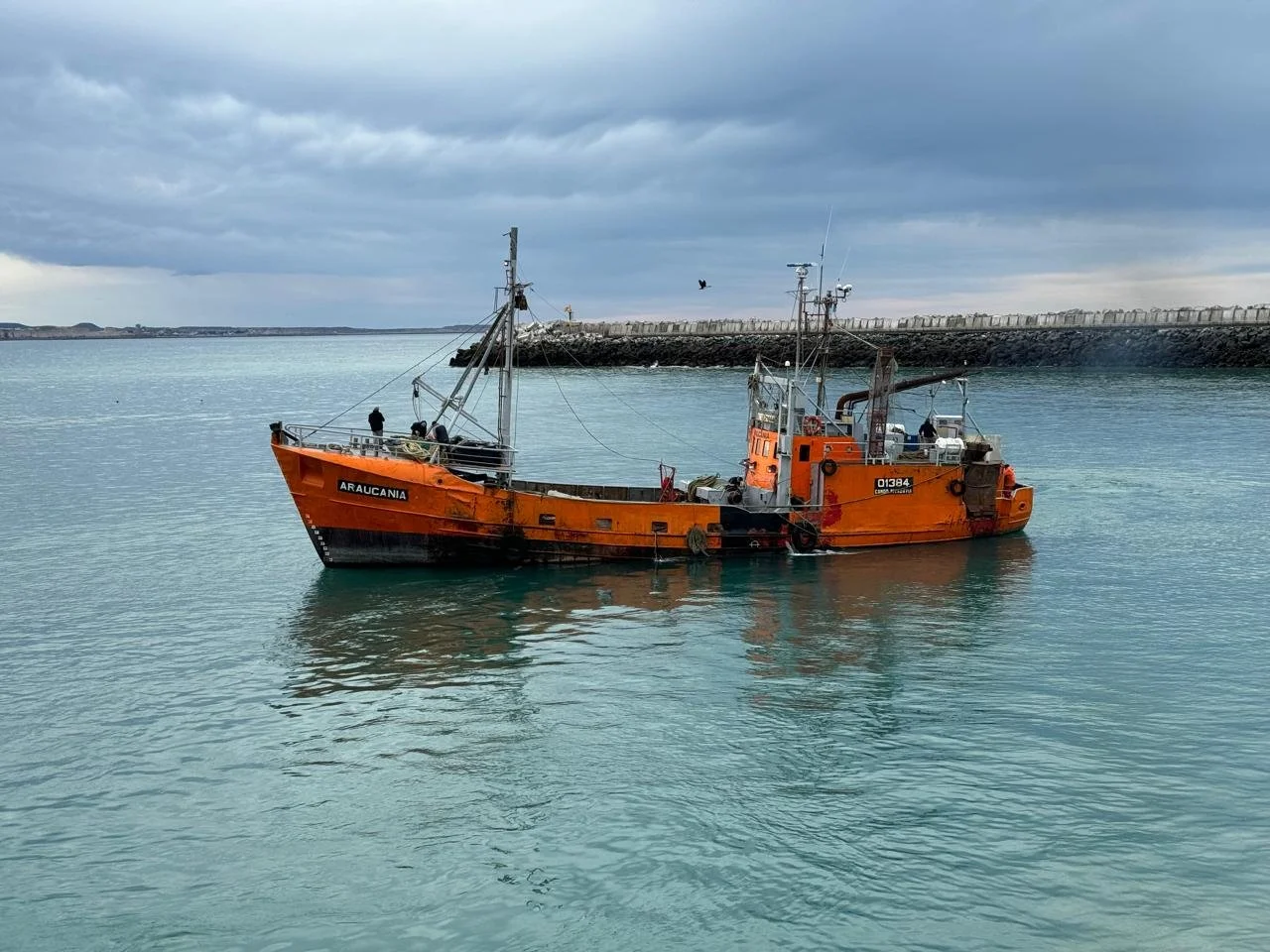 WhatsApp Image 2026-01-09 at 1.42.30 PM (7).jpeg