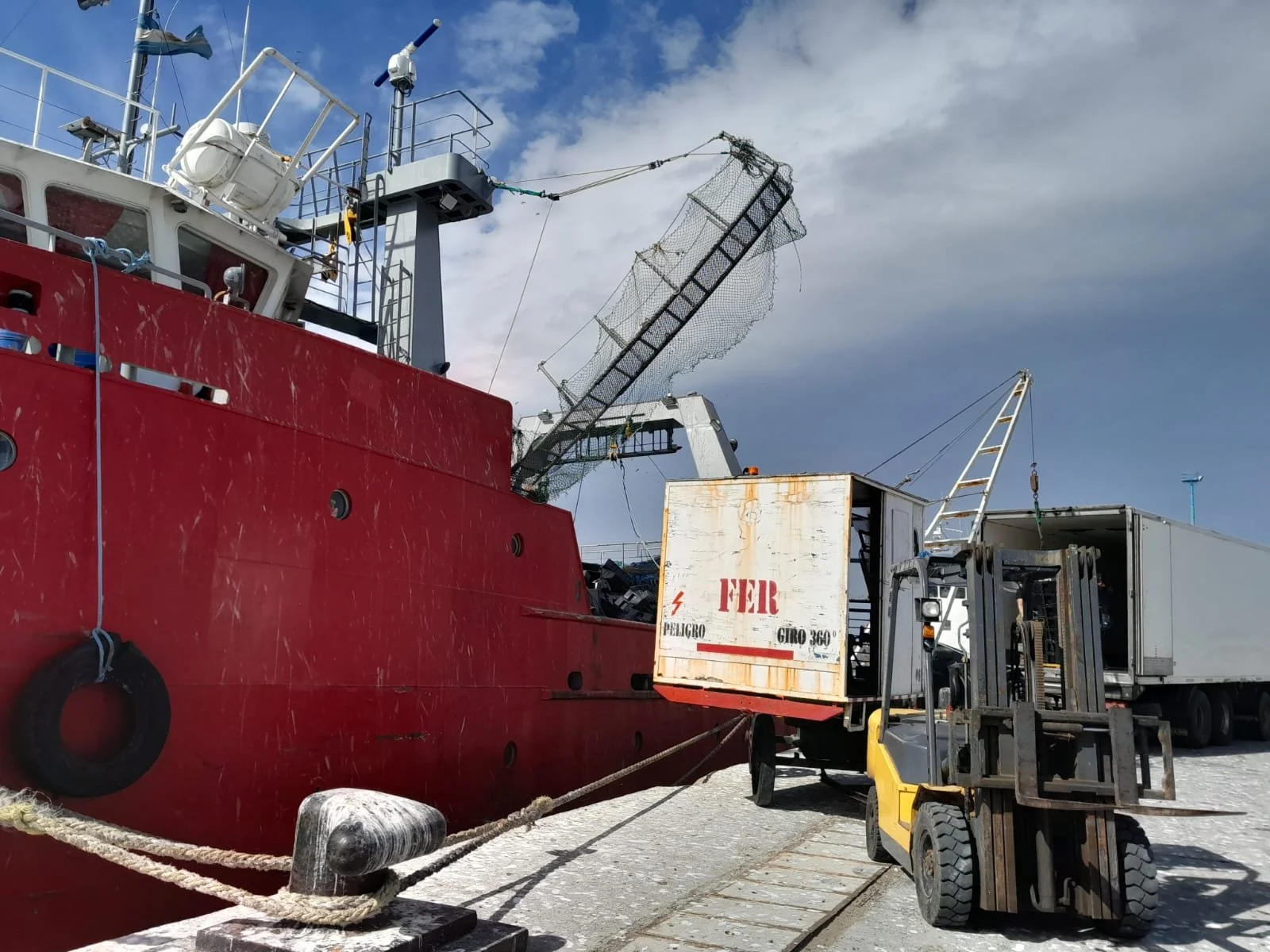 WhatsApp Image 2025-01-25 at 13.50.53.jpeg