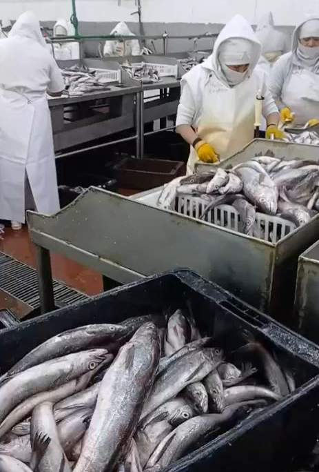 Captura de pantalla 2026-01-16 132212.png