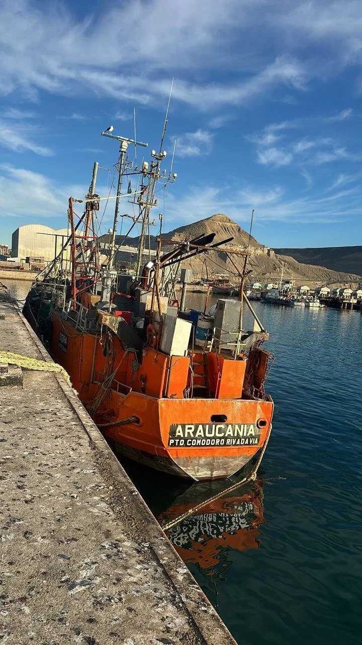 WhatsApp Image 2025-01-27 at 11.44.44 (2).jpeg